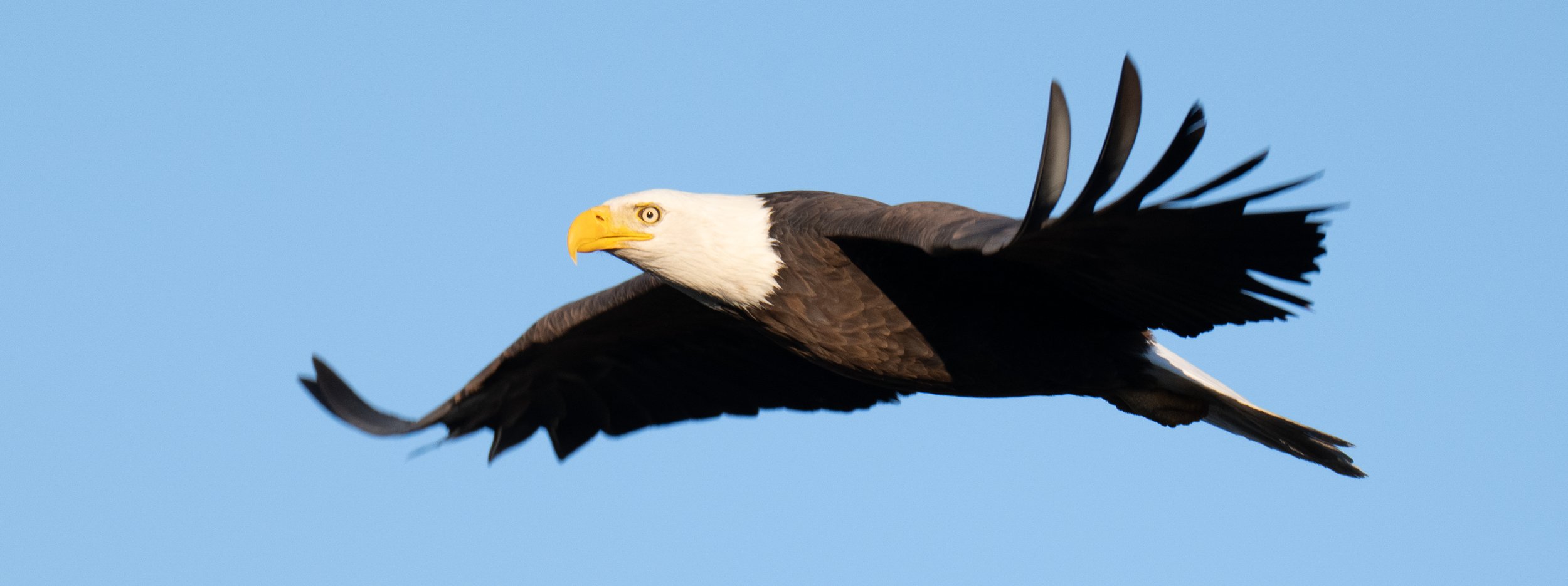 DSC_0978.jpg