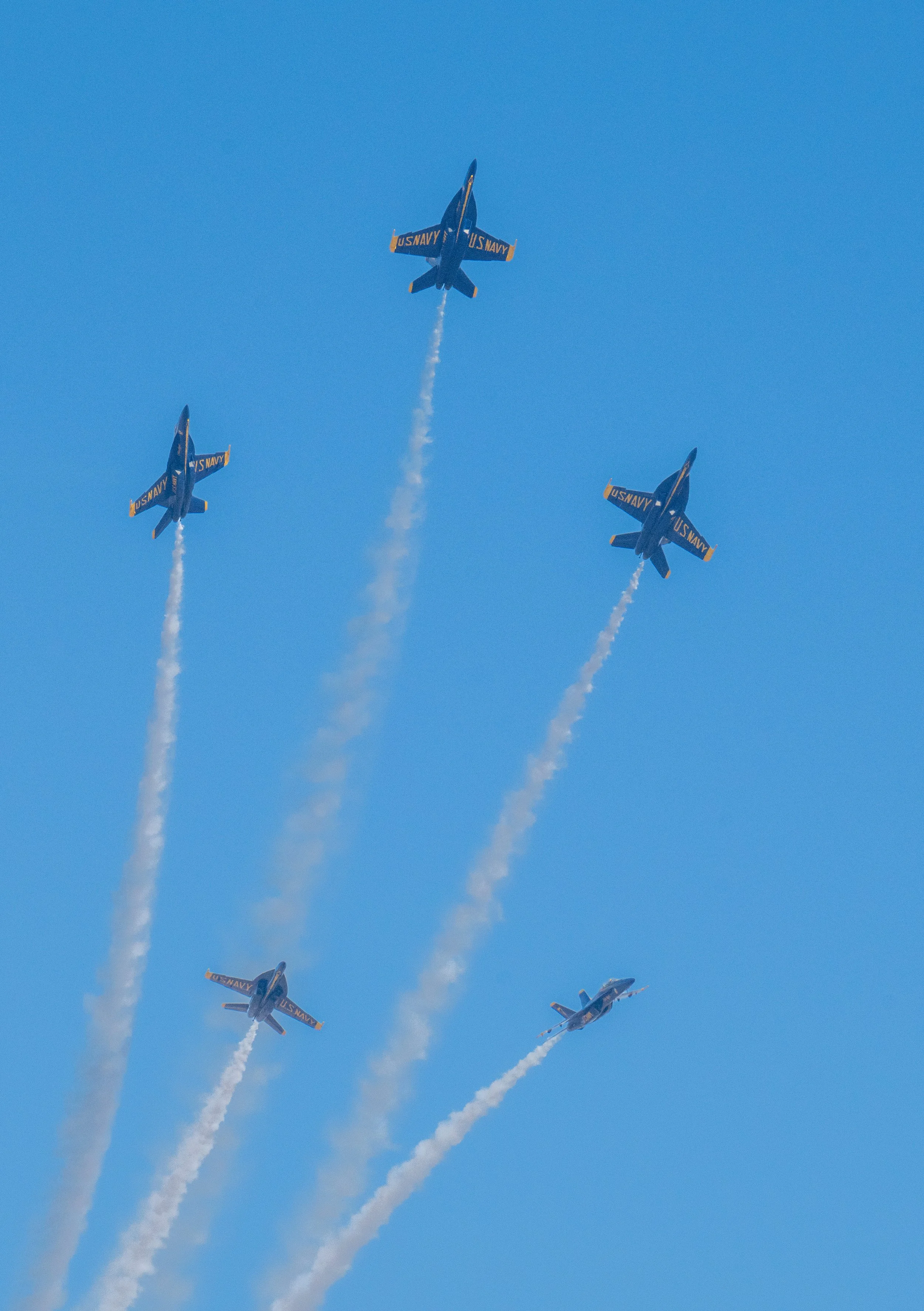 DSC_5584.jpg