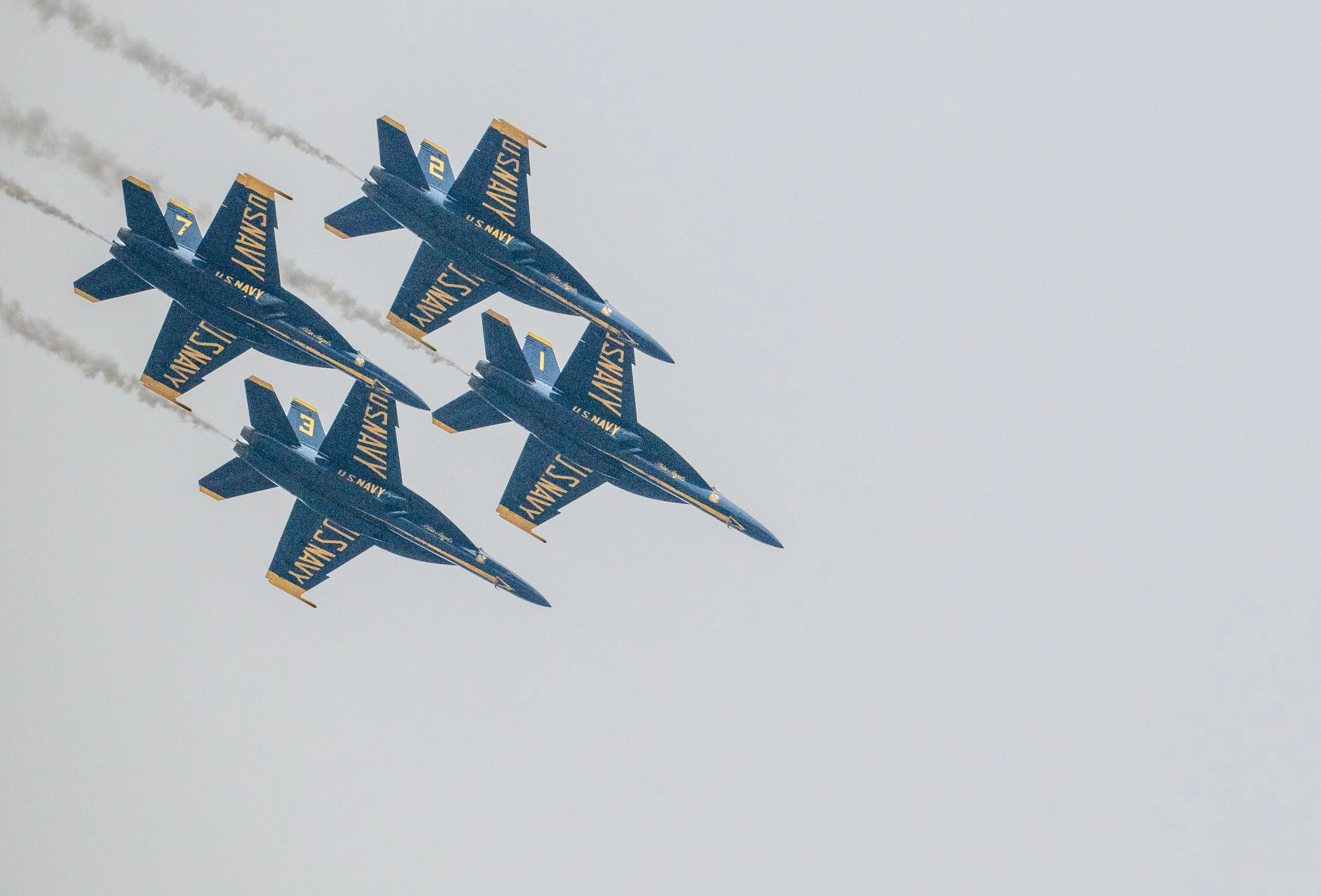 DSC_1556.jpg
