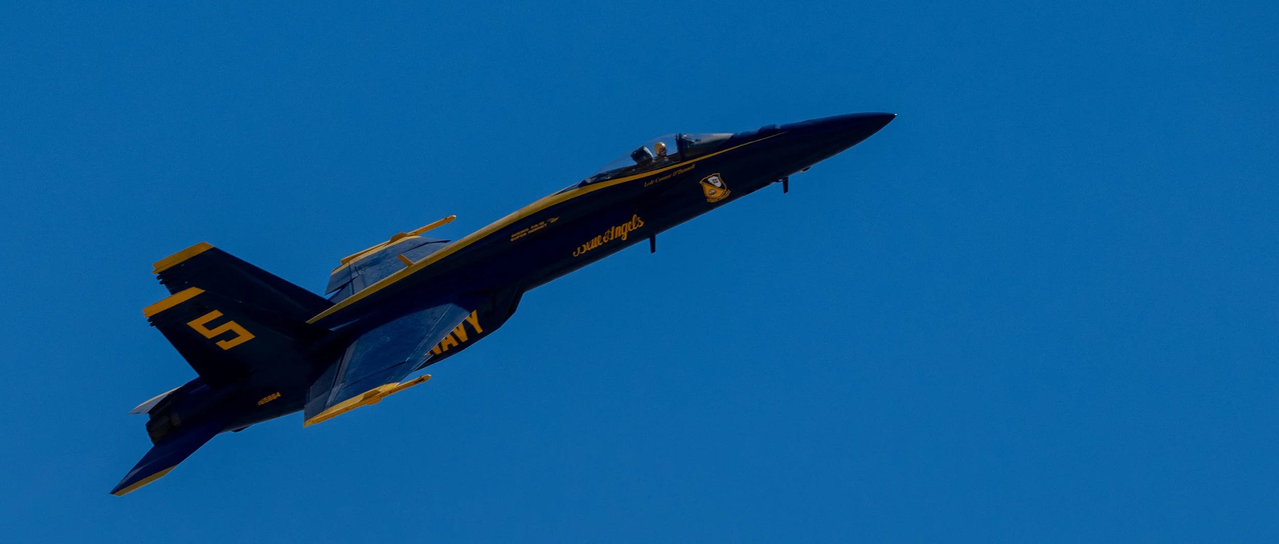 DSC_4006.jpg