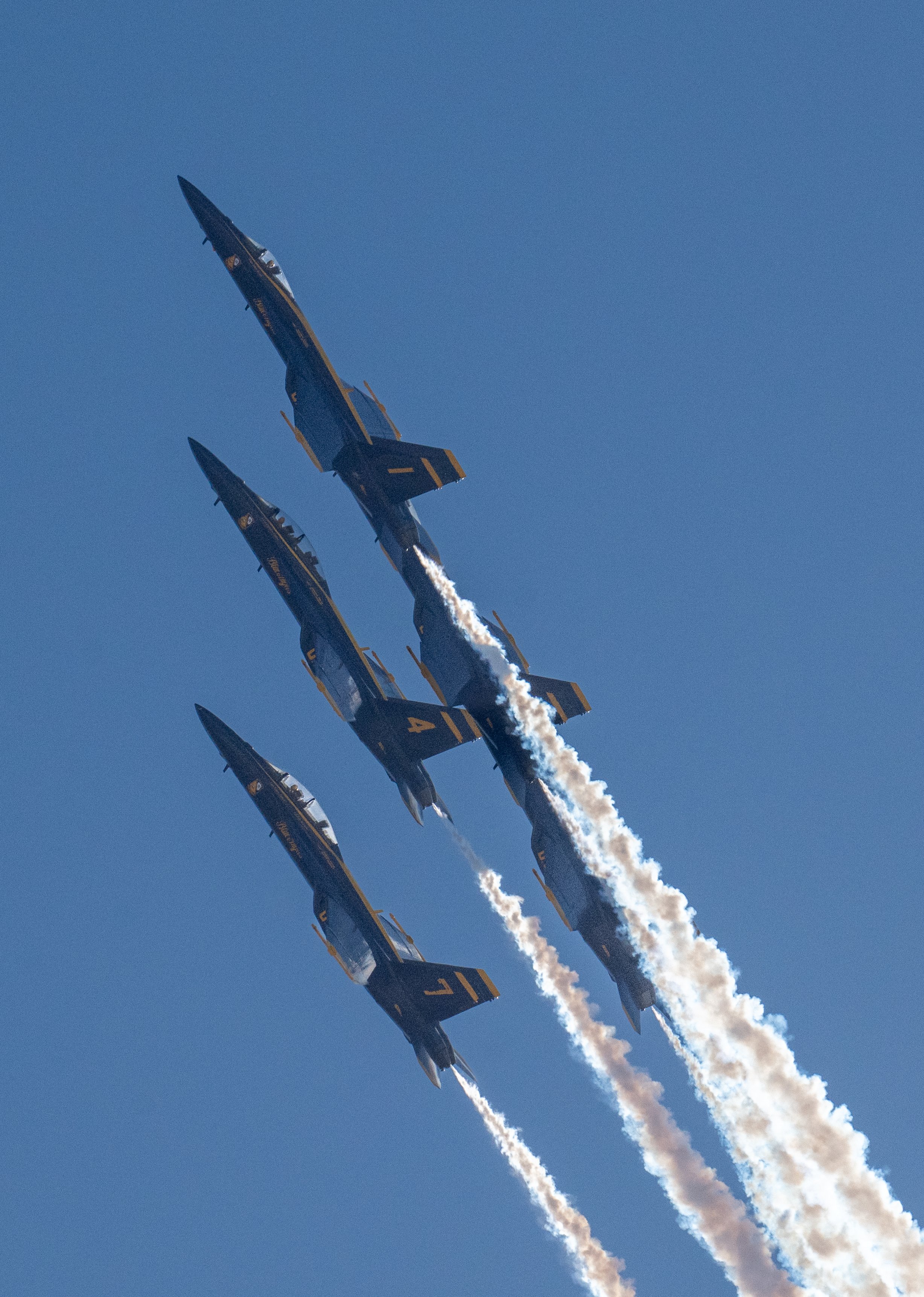DSC_5549.jpg