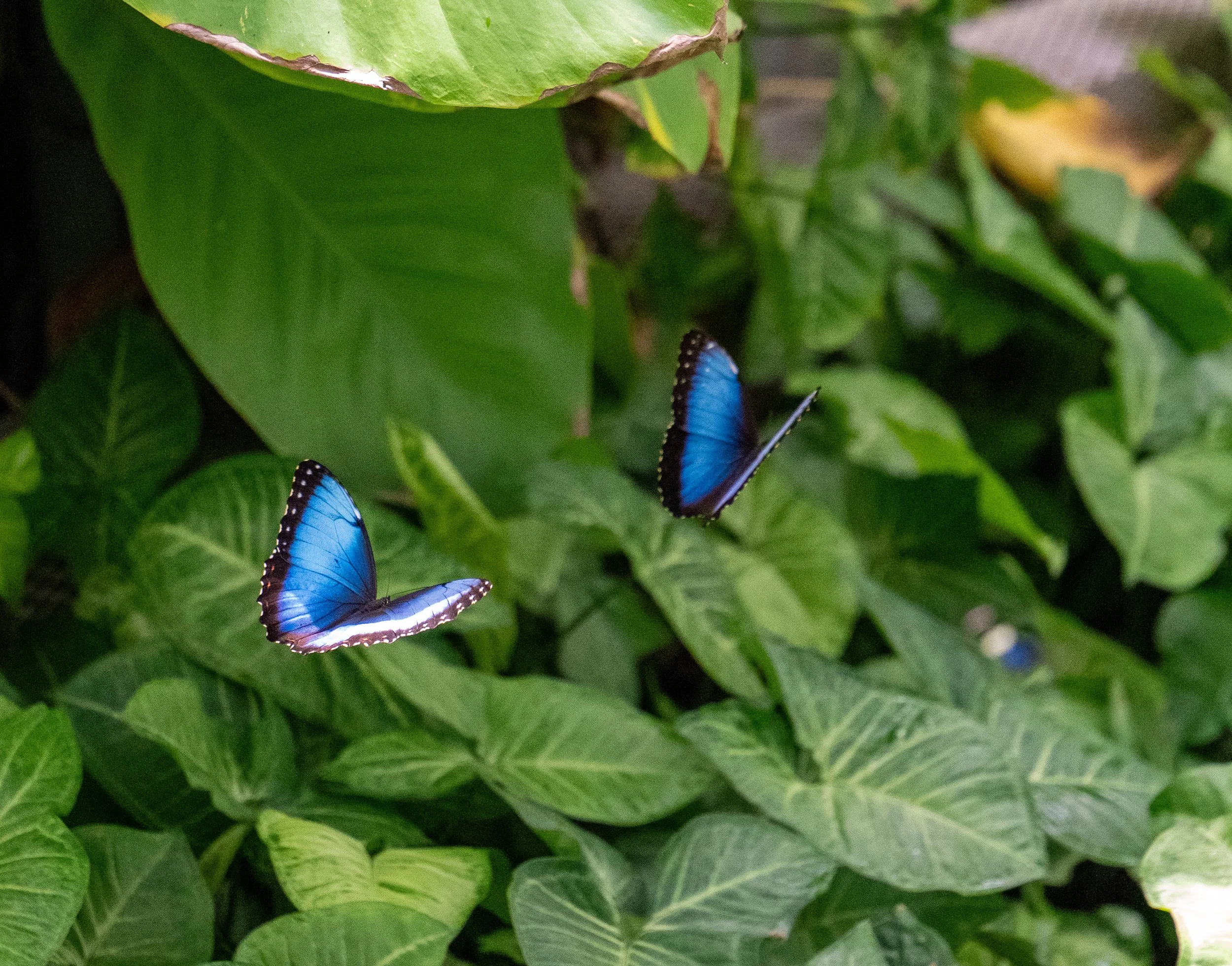 DSC_8307.jpg