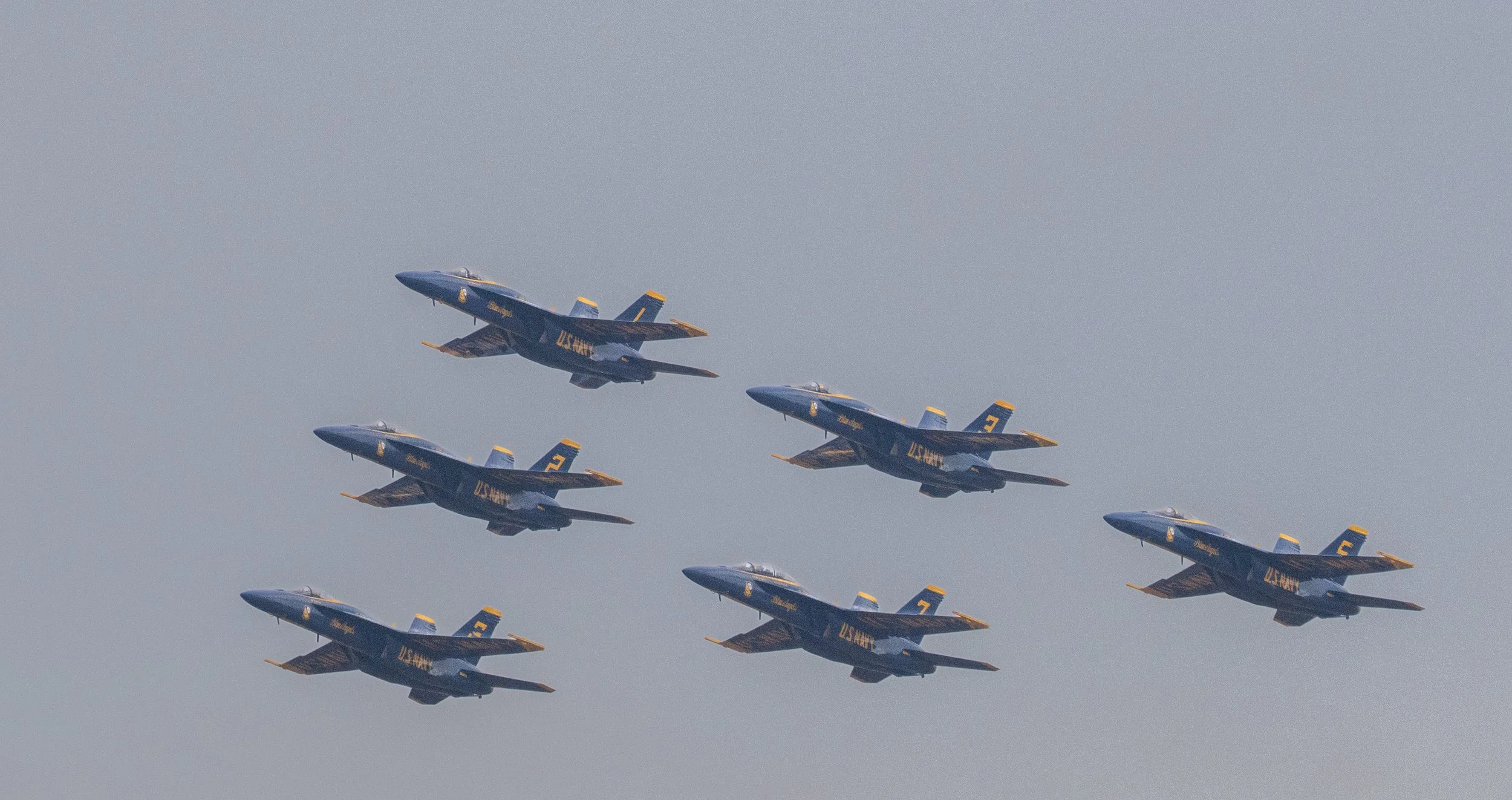 DSC_1720.jpg