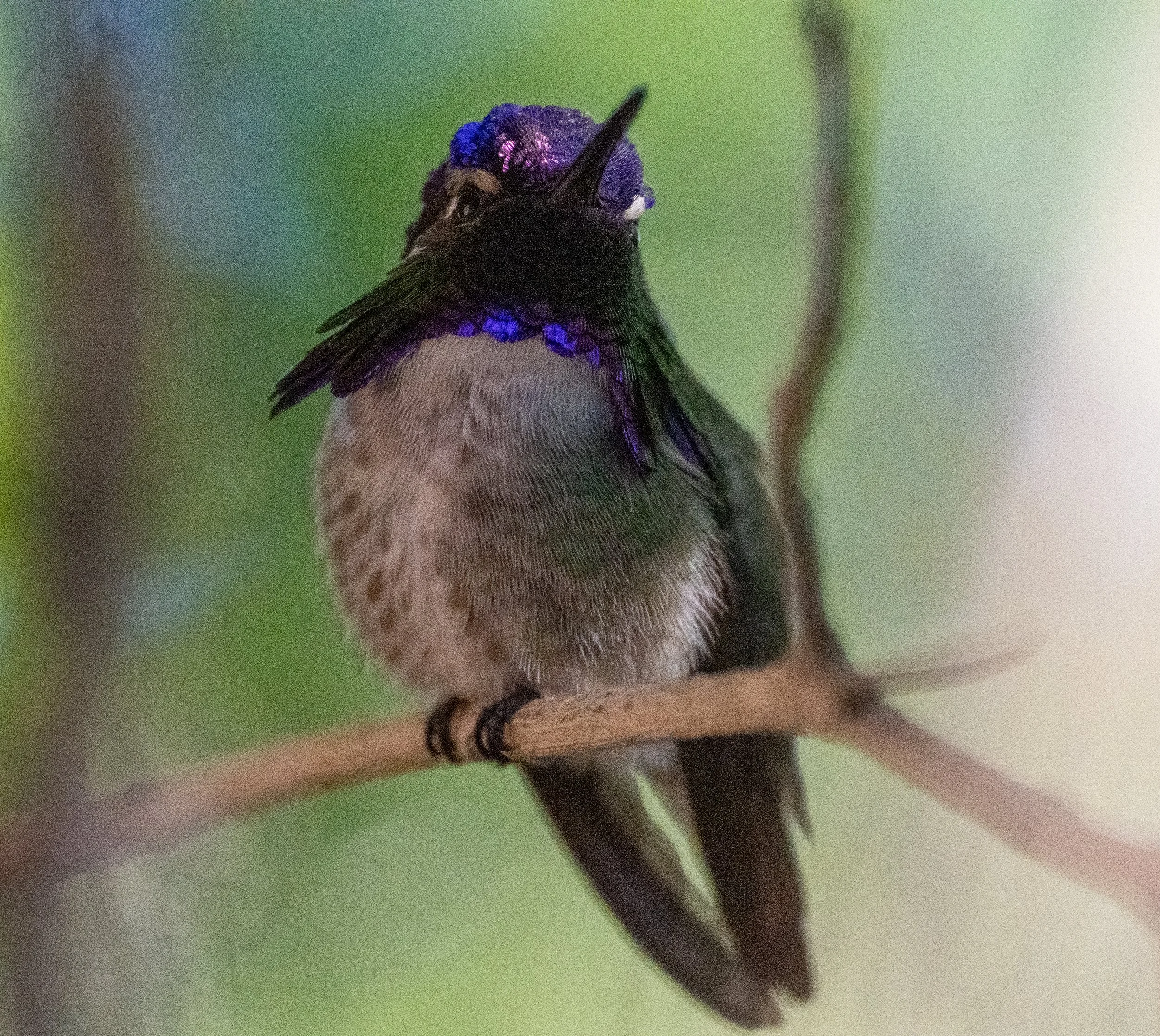 DSC_9533.jpg