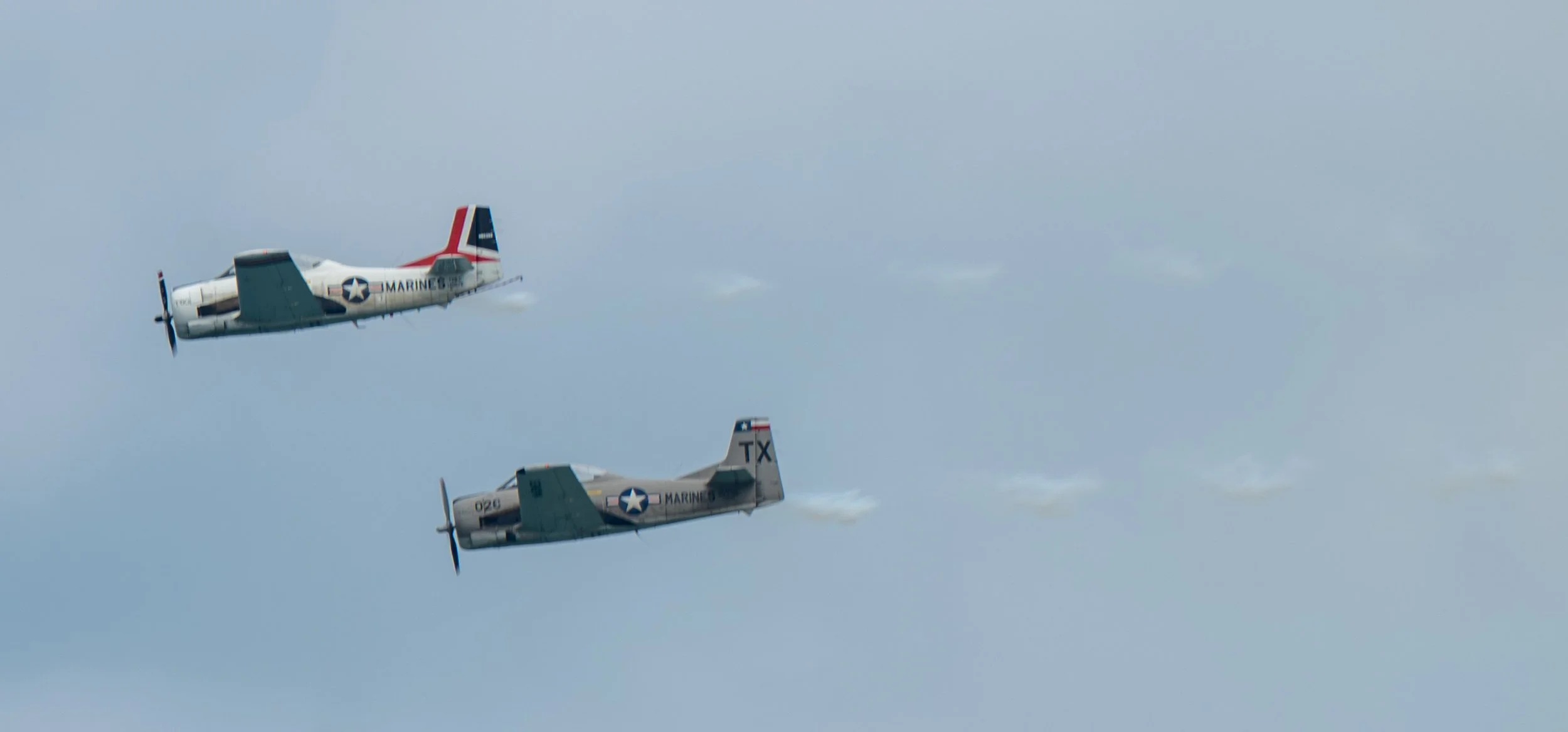 DSC_1443.jpg
