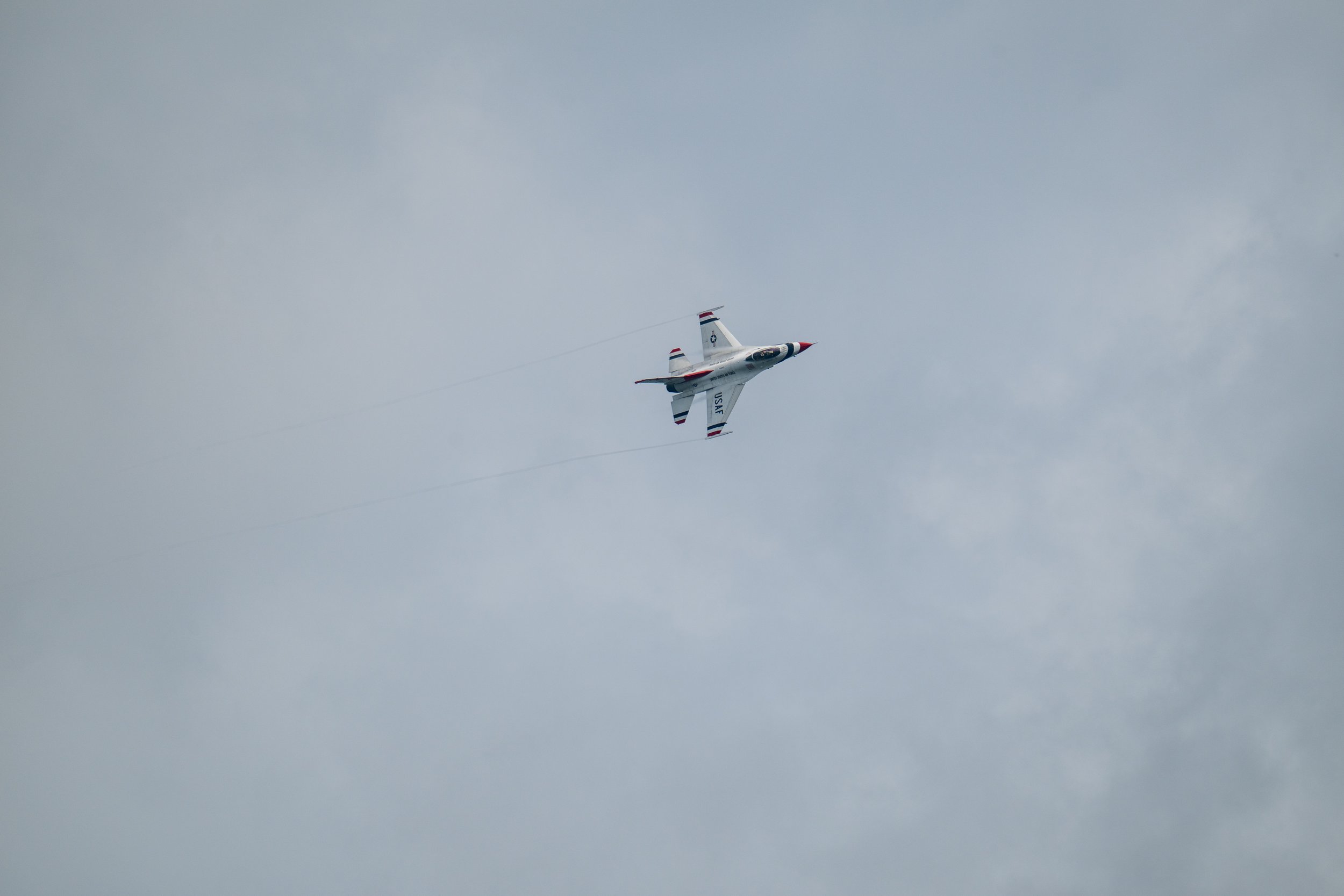 DSC_2021.jpg