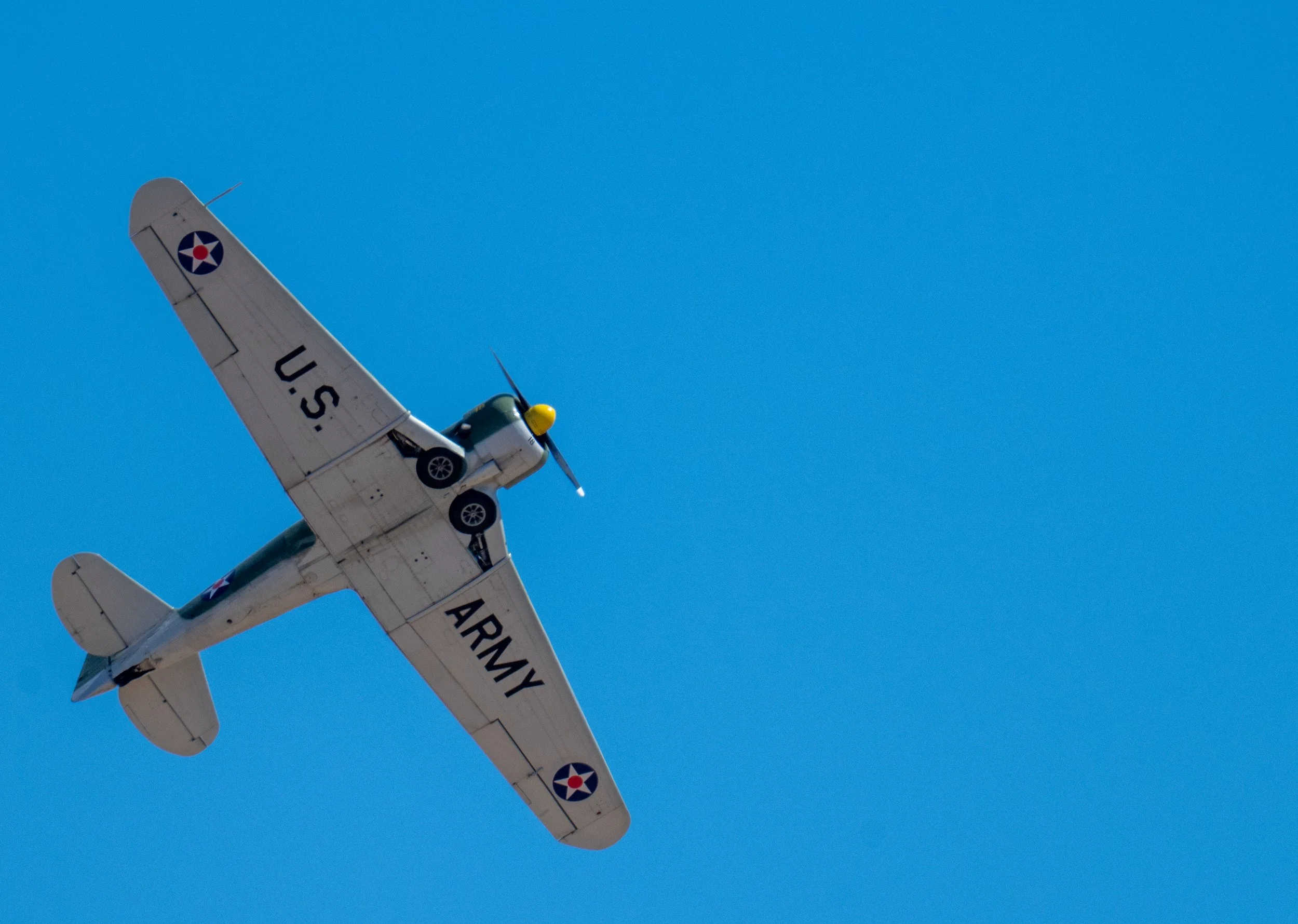 DSC_5878.jpg