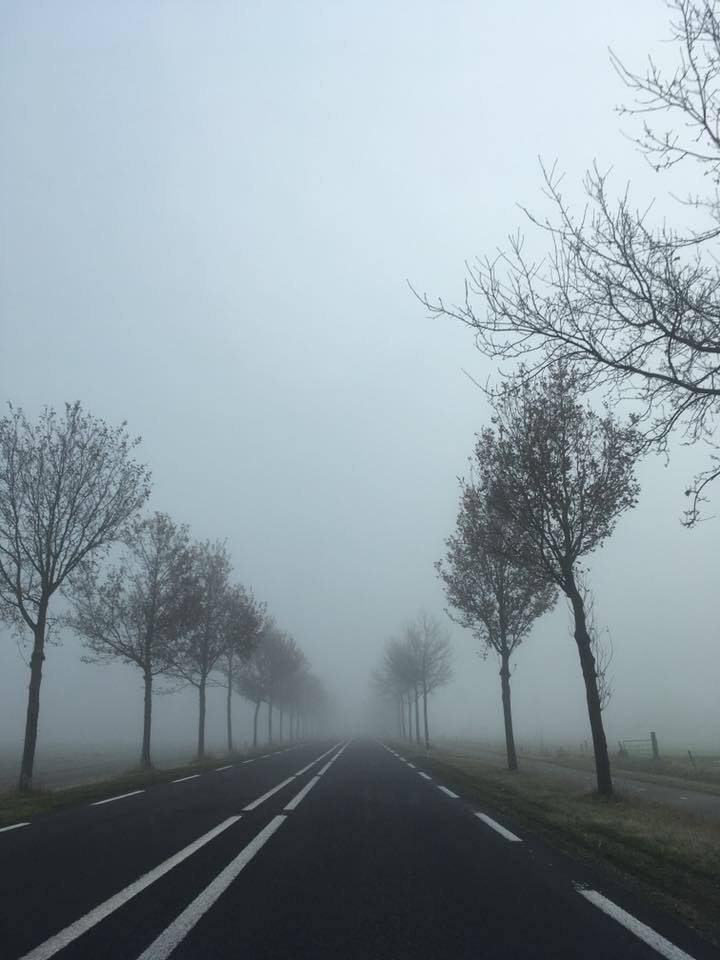 Tussen bomen.