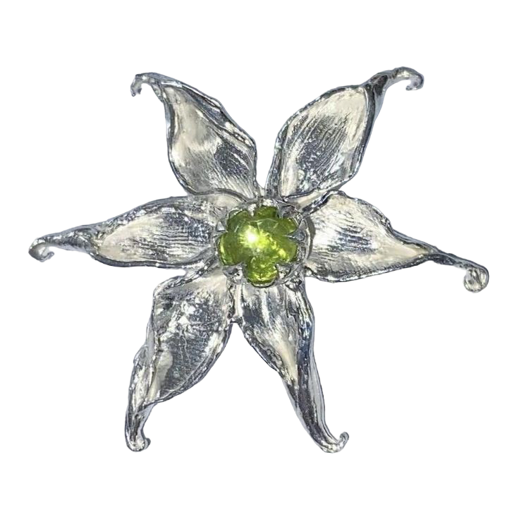 silver star shaped flower icon