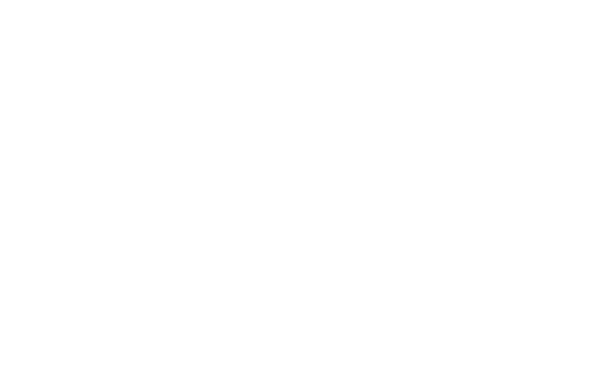The Stray Tones Band