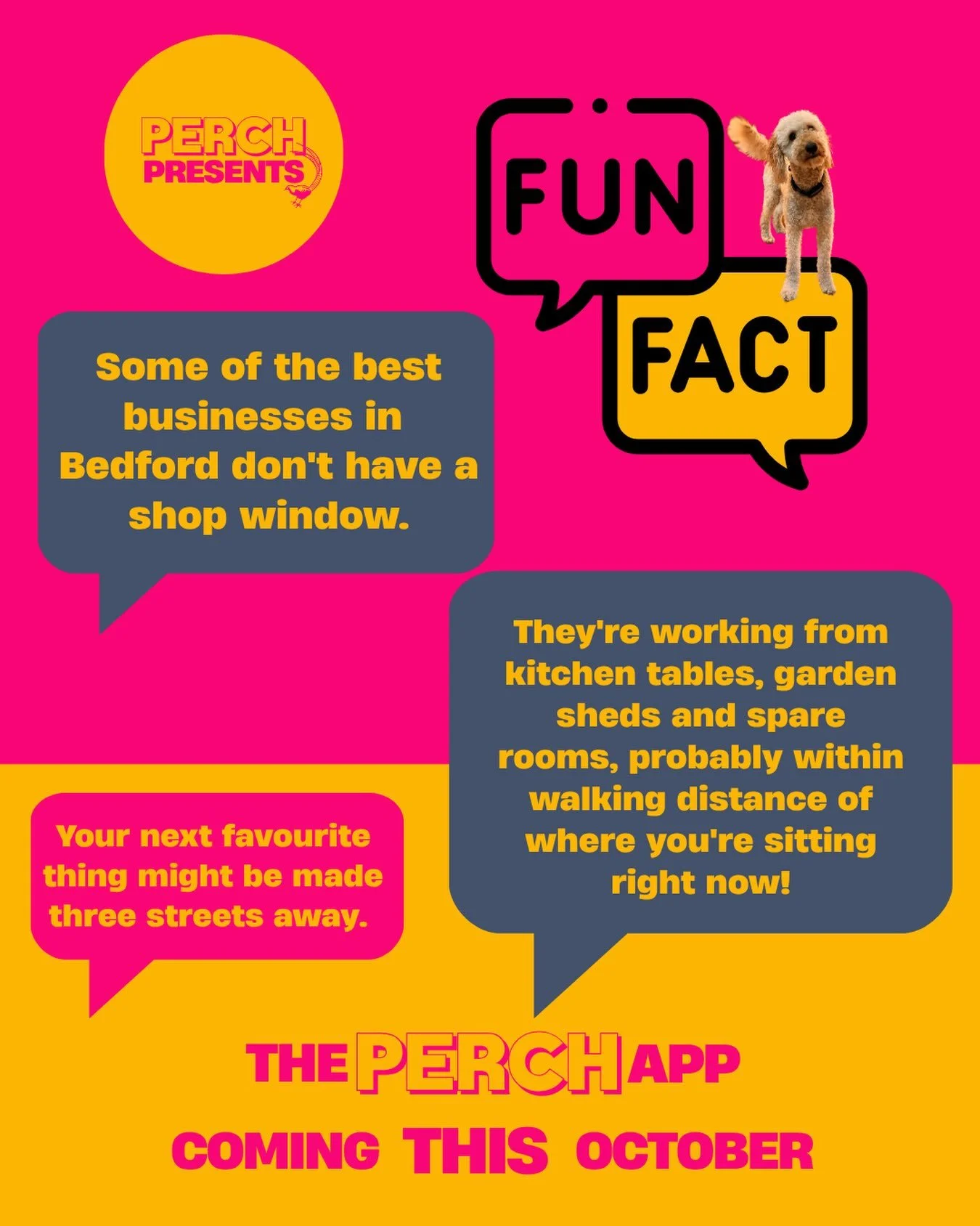 The PERCH App puts them all in one place, easy to search and find your next favourite thing! 

Check out our website for more info (link in bio)