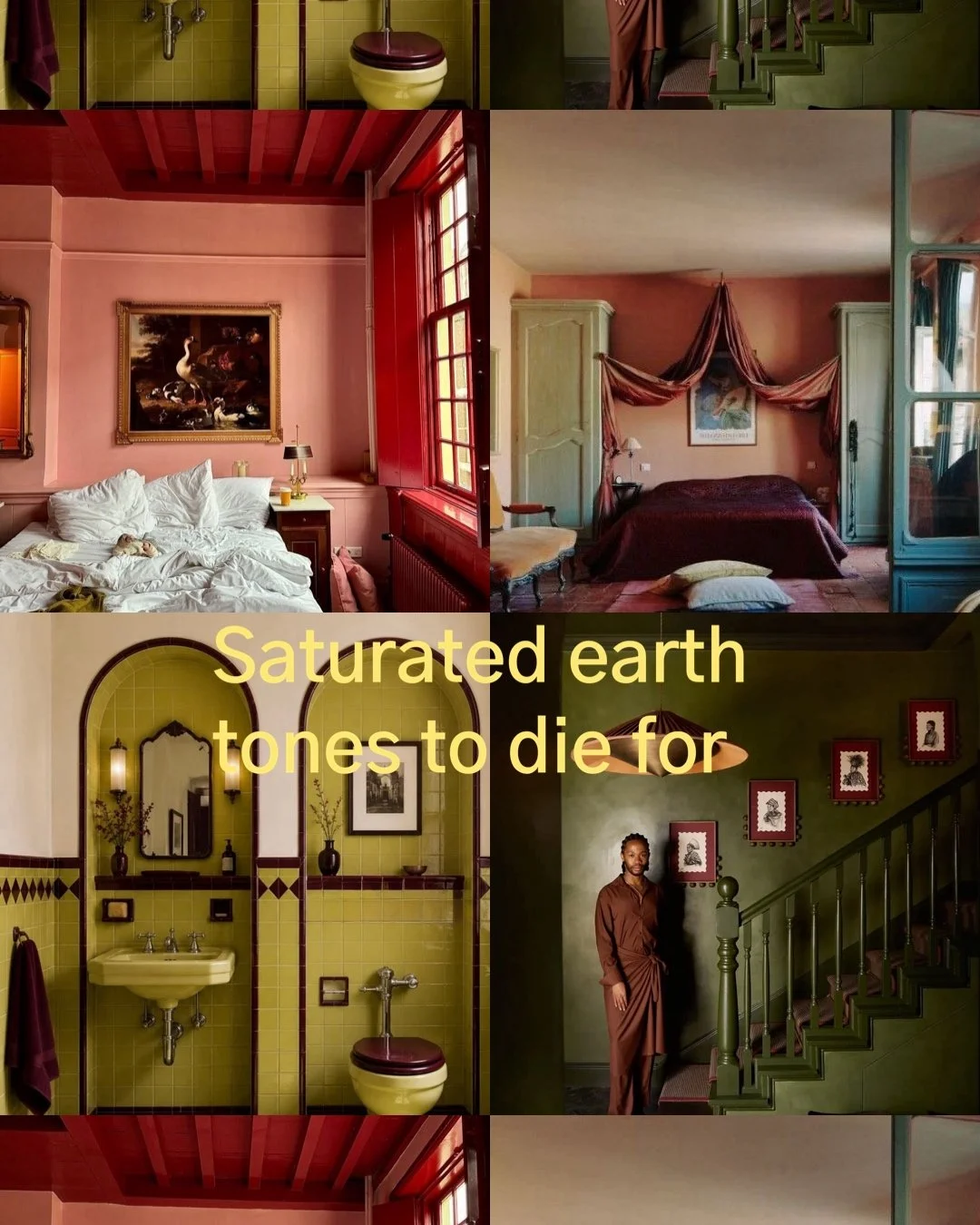 I die for bold, saturated colors in delicious earth tones.