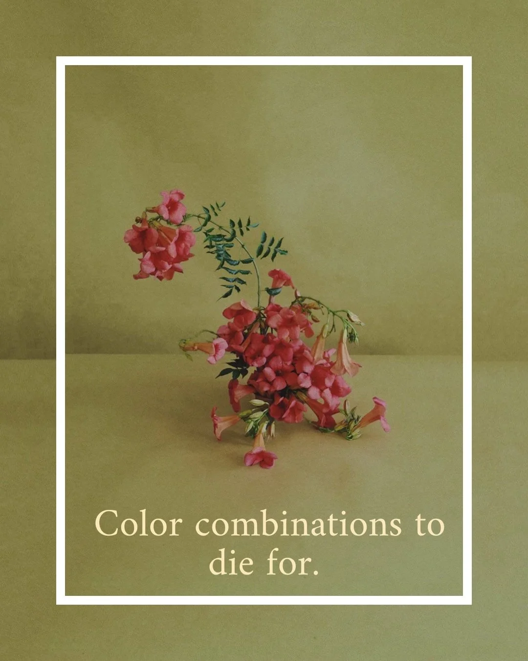 Color combinations to die for. I adore creating saturated, colorful, grounded spaces. 
The colors we surround ourselves with effect our moods every day. We have the ability to create spaces that are more relaxing, energizing, or comforting depending 