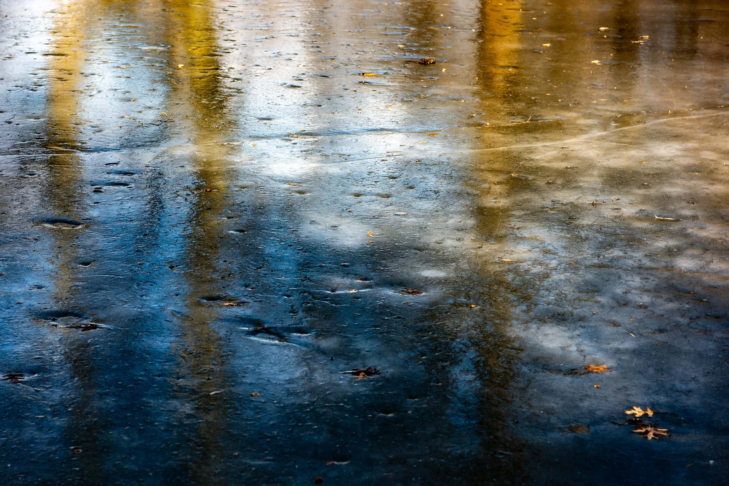 Color - Brigitte Thieme-7.jpg
