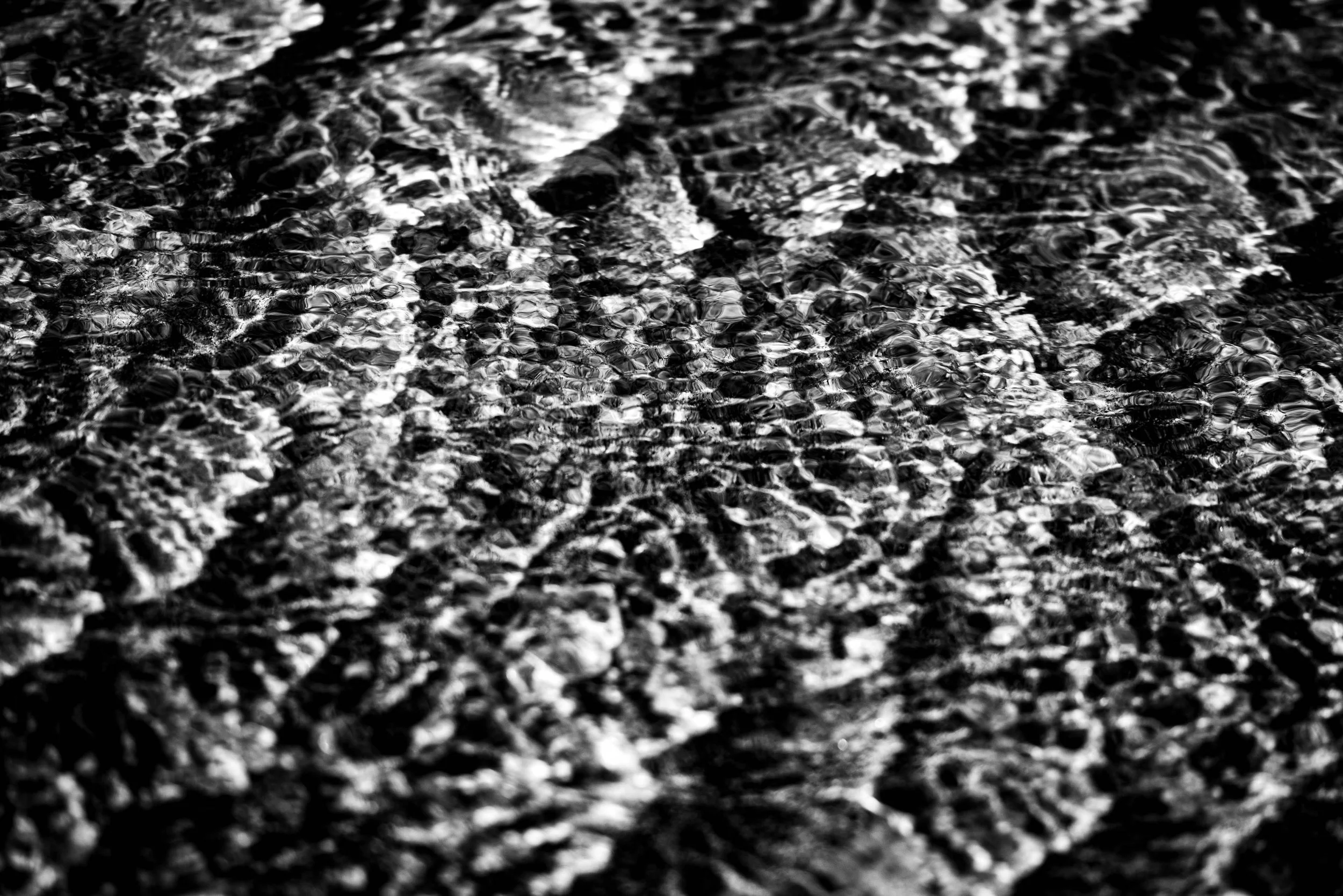 Patterns - Brigitte Thieme-5.jpg