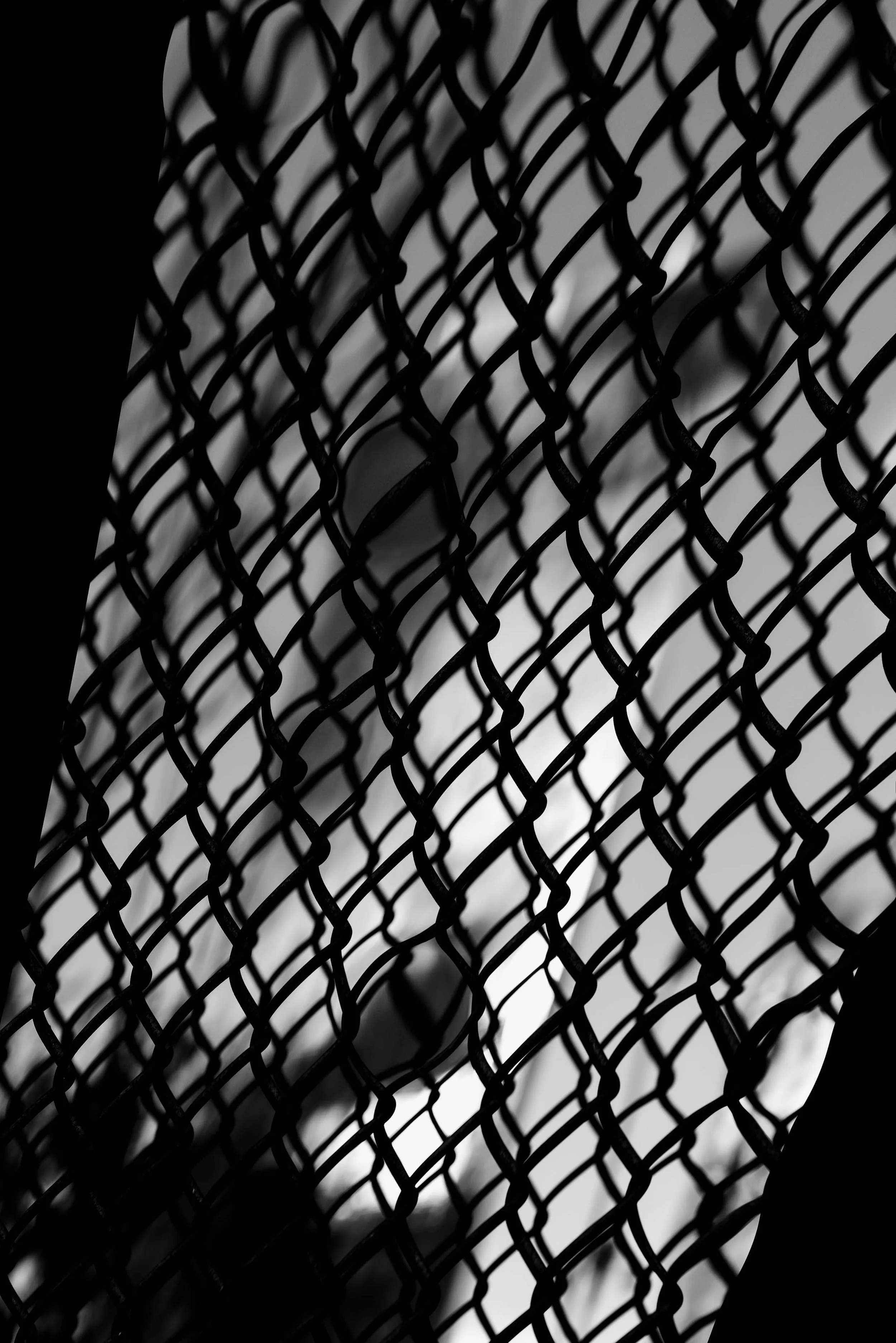 Patterns - Brigitte Thieme-1.jpg