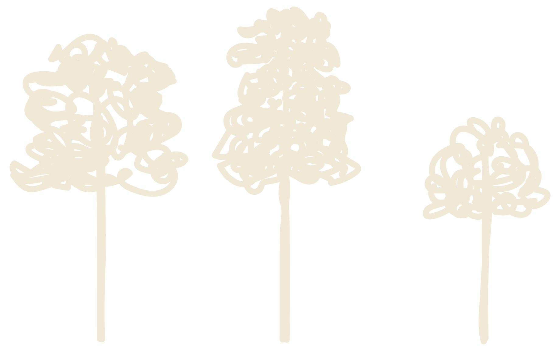 Silhouettes of three stylized flowers with detailed, intricate petal designs on a black background.