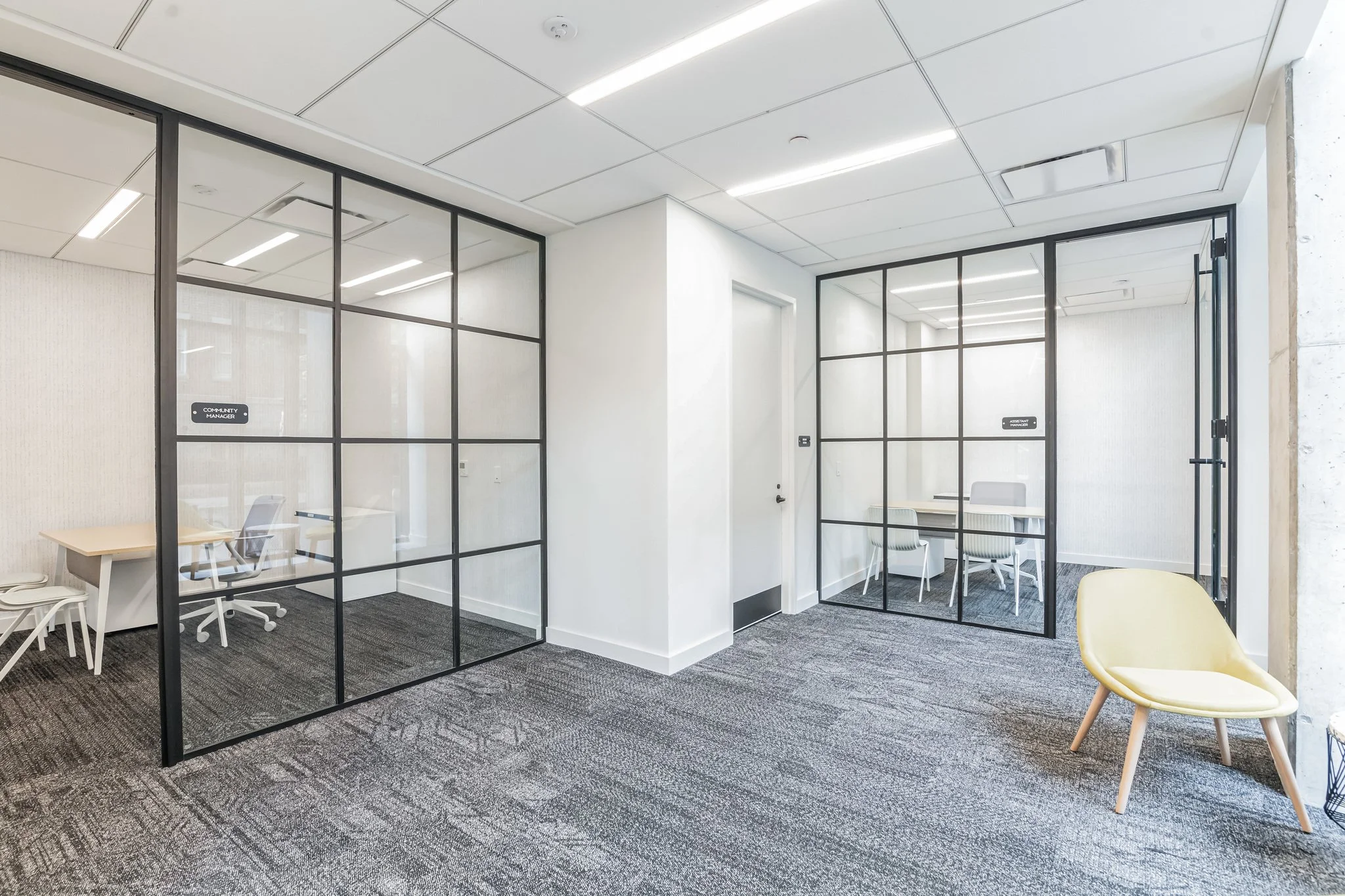 Modern office interior with glass partition walls, white walls, gray carpet, ceiling lights, and chairs for meetings or work.