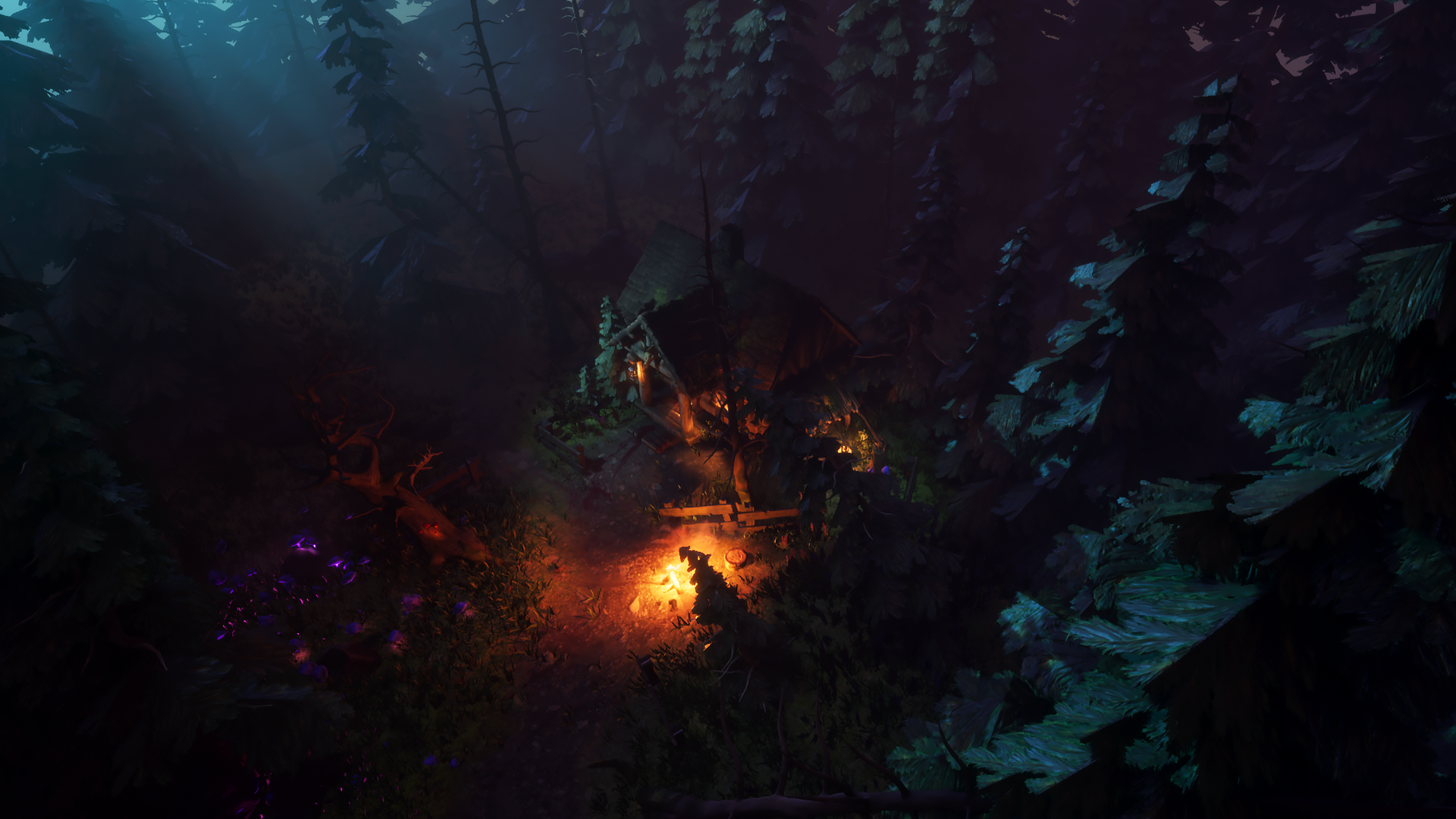 WC_Beauty_0000_WC_Beauty1.png