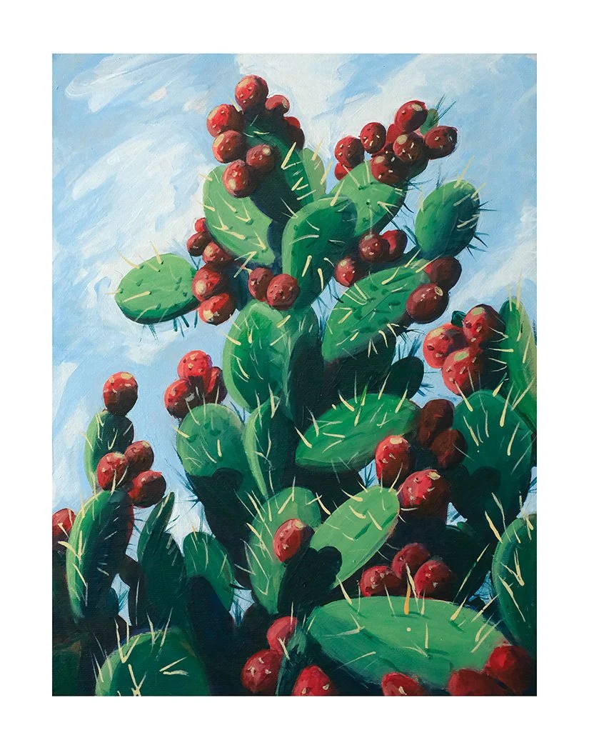 Desert Prickly Pear