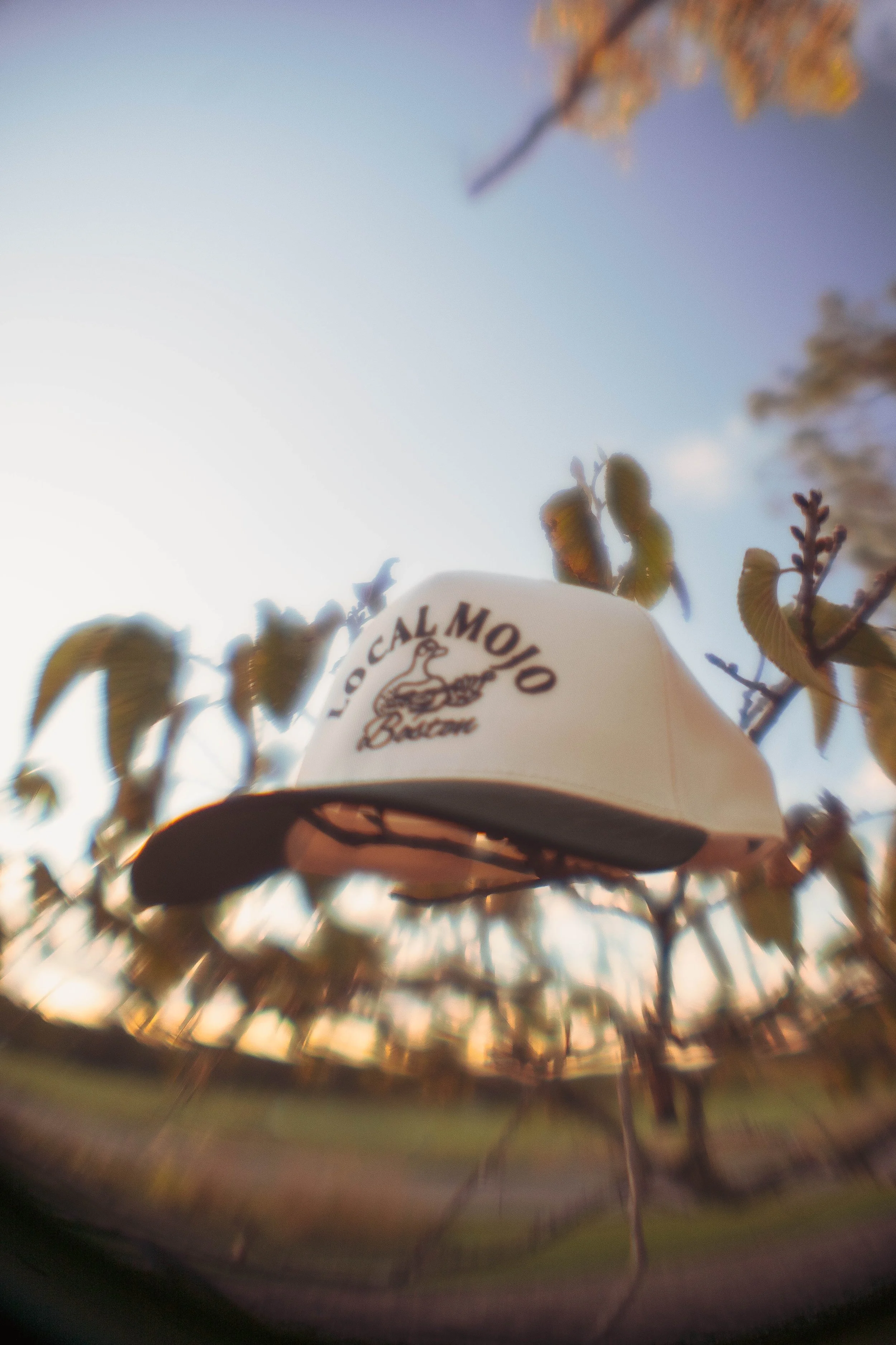 LM Merch 9 26 2025 (35 of 50).jpg