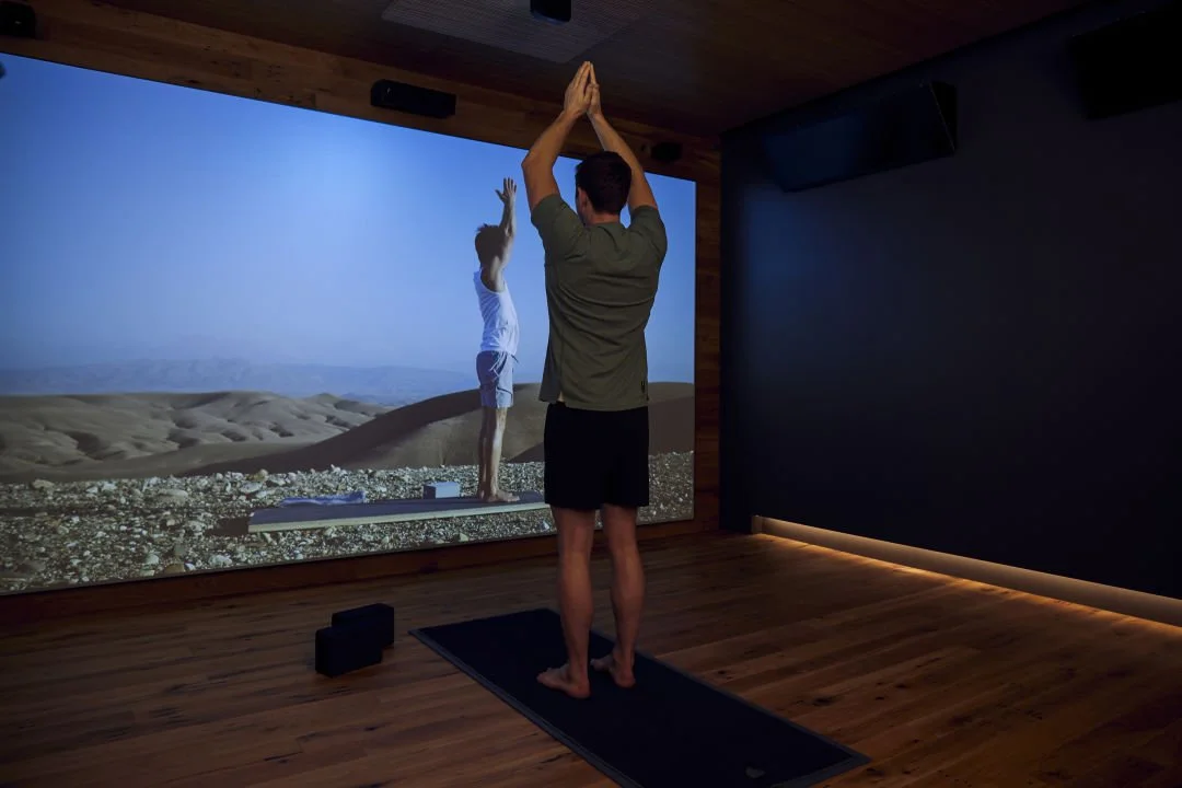 Simulated Digital Health Experience