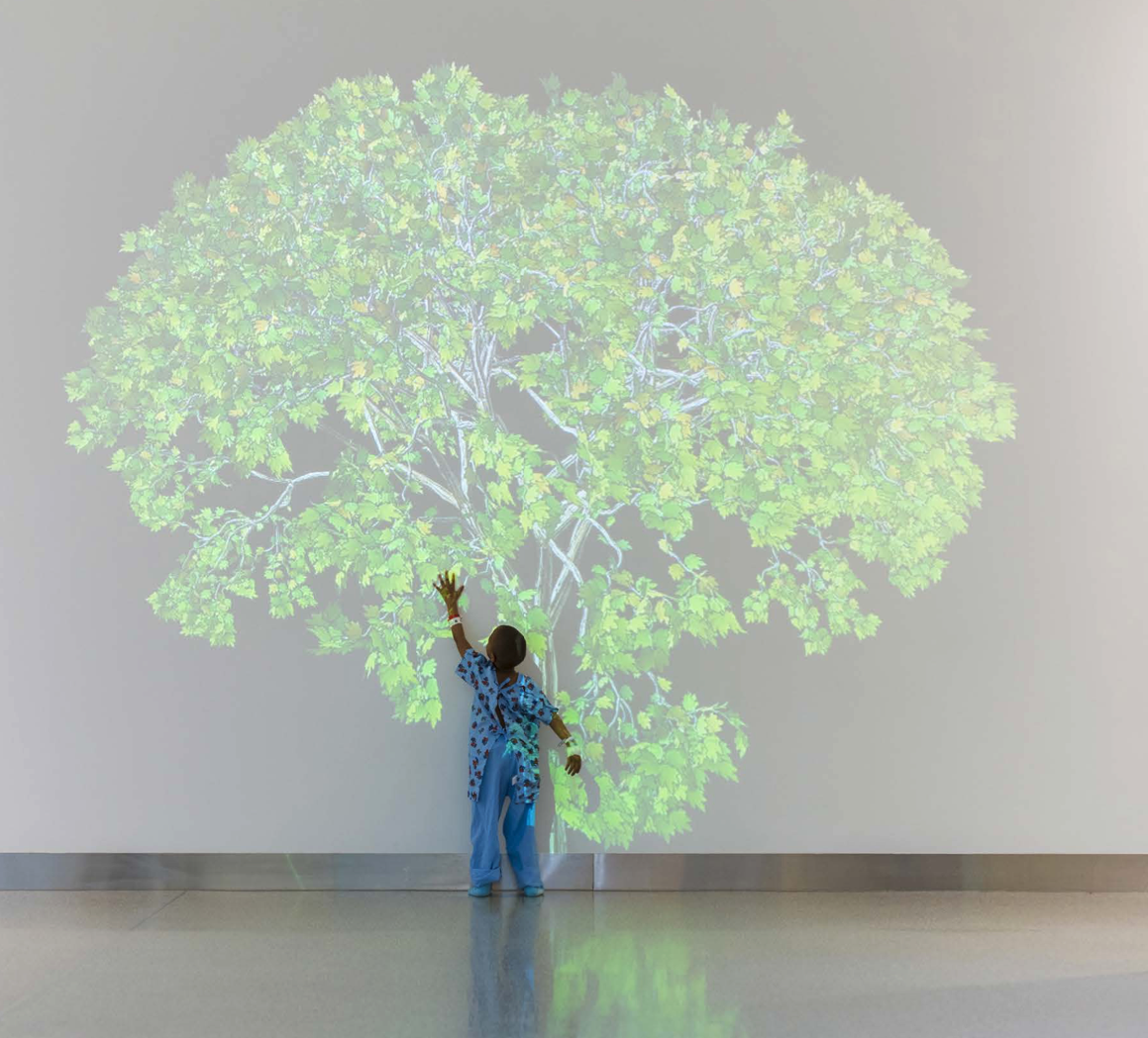 Simulated Digital Health Experience using breath work to draw