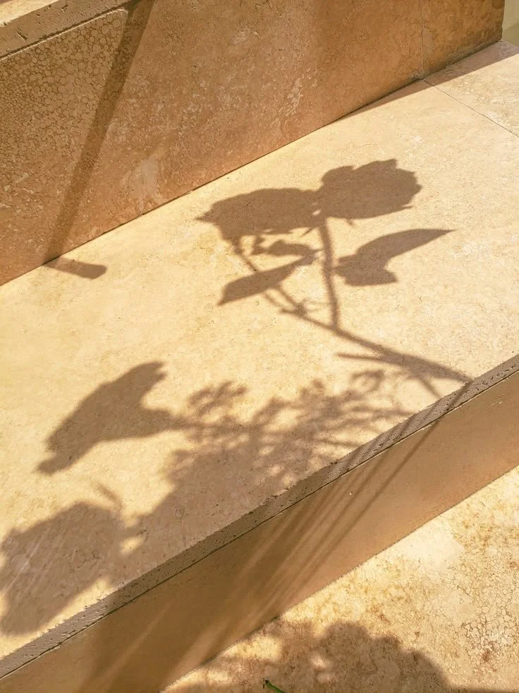 Shadow of a rose plant cast on a beige surface, next to a brown textured wall.