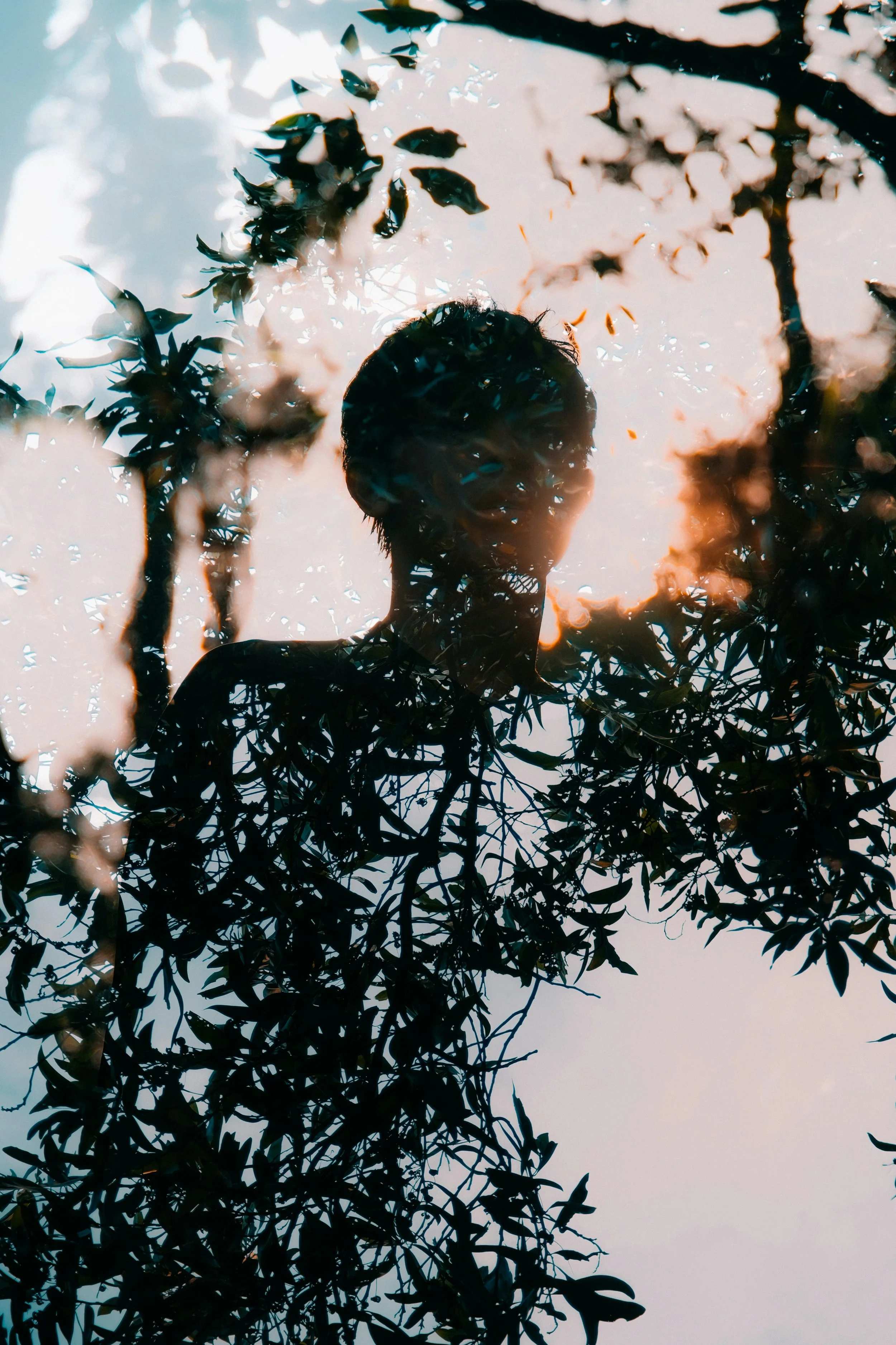 Silhouette of a person looking up through a tree with sunlight shining through the branches and leaves.