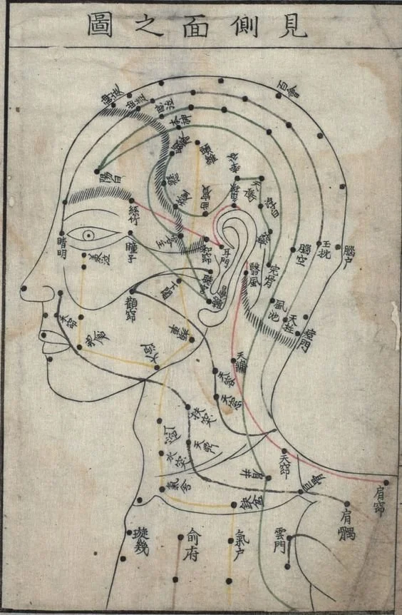 Diagram of human head and neck with acupuncture points labeled in Chinese characters.