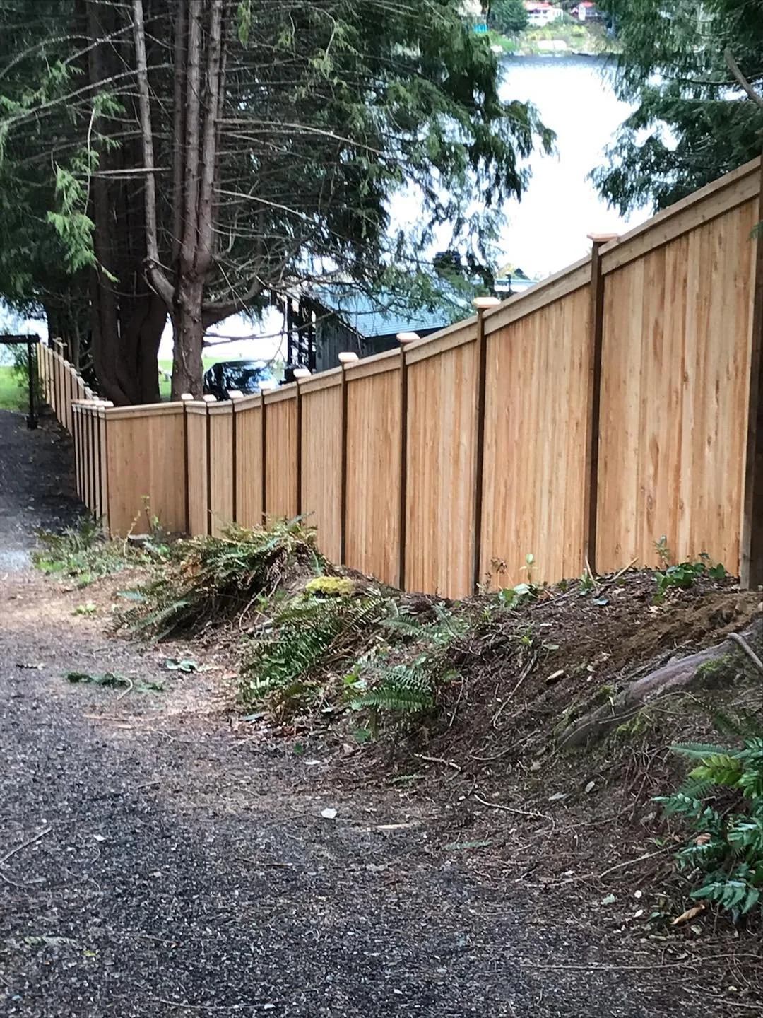 Fences