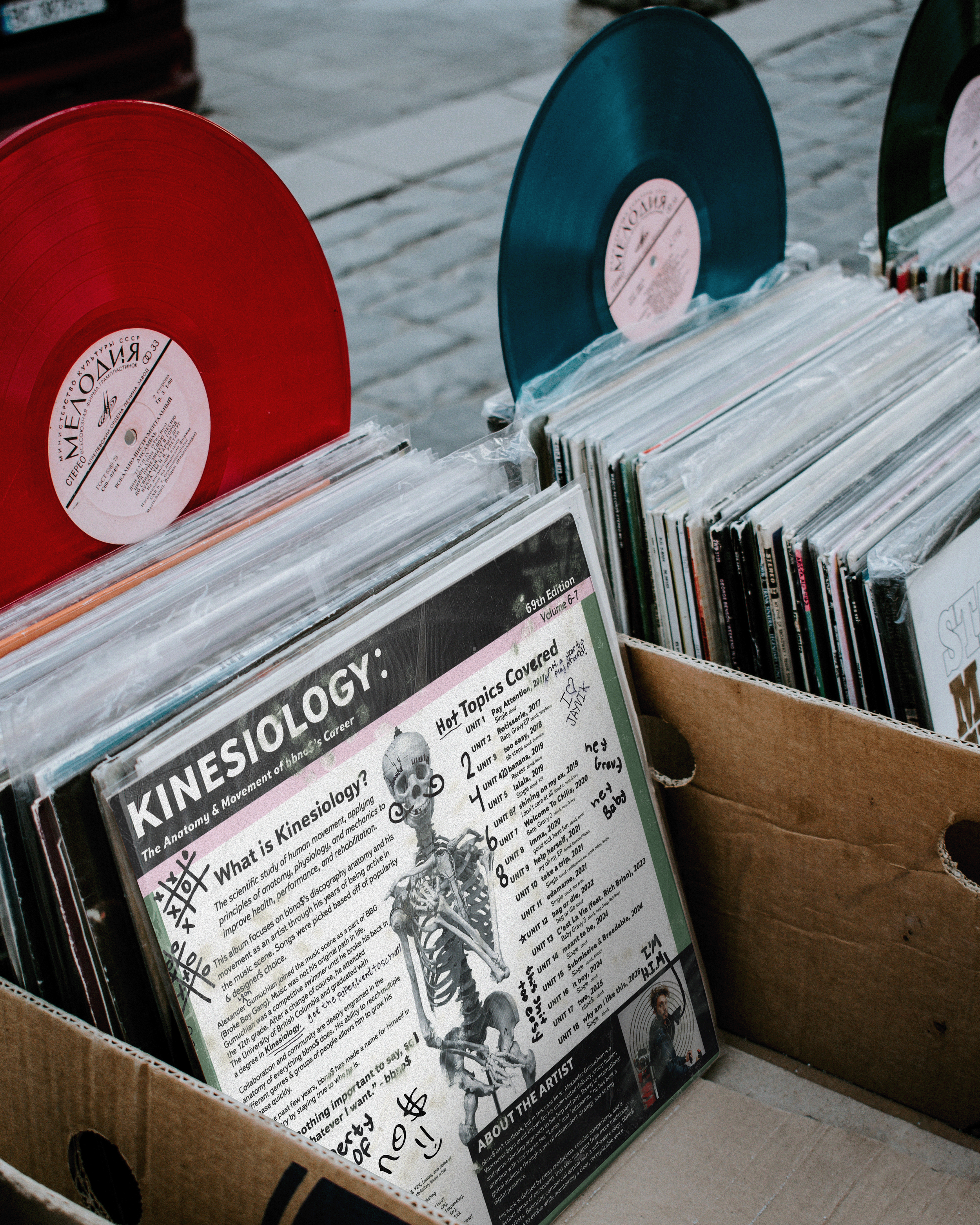 back+vinyl.png.webp