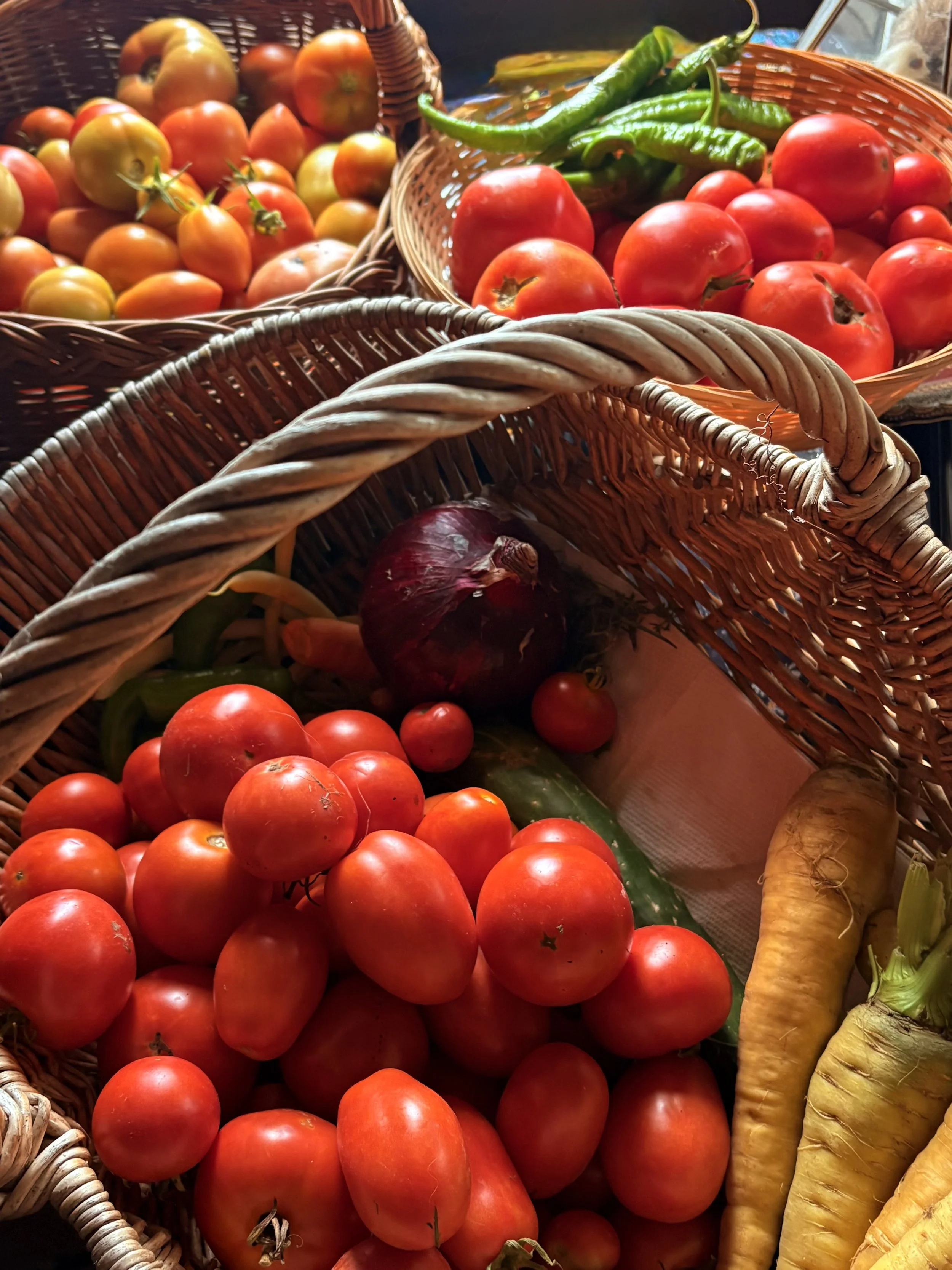 Basket of fresh tomatoes, green chili peppers, and carrots.