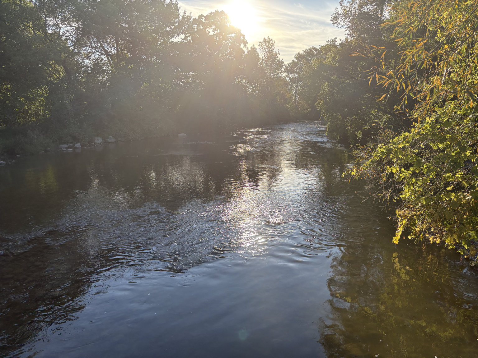 A peaceful river flowing through a wooded area with sunlight shining through the trees