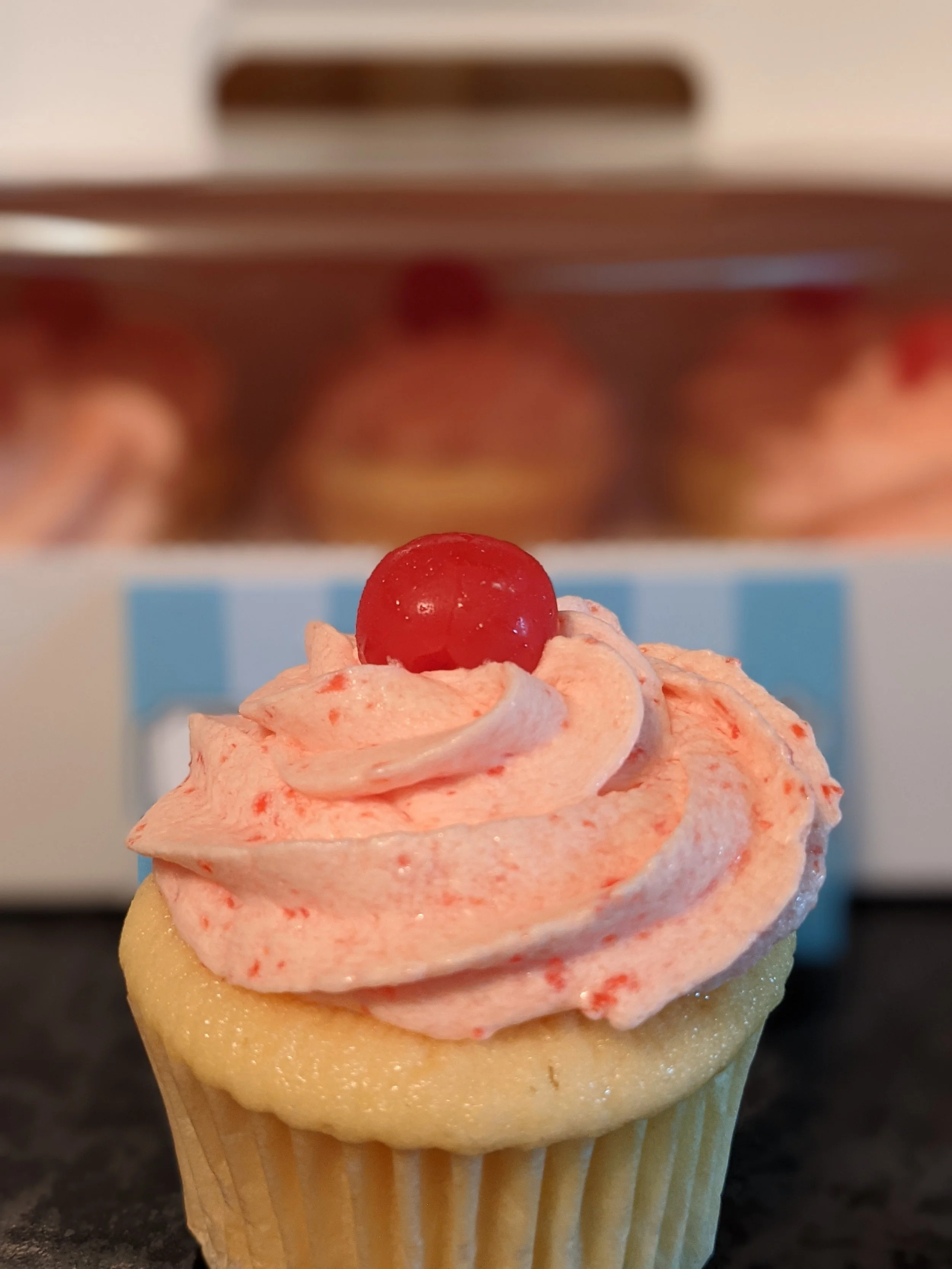 Close-up portrait photography of an artisan vanilla cupcake with pink buttercream swirl and cherry topping on a bakery counter for Alexandria's Cakery.