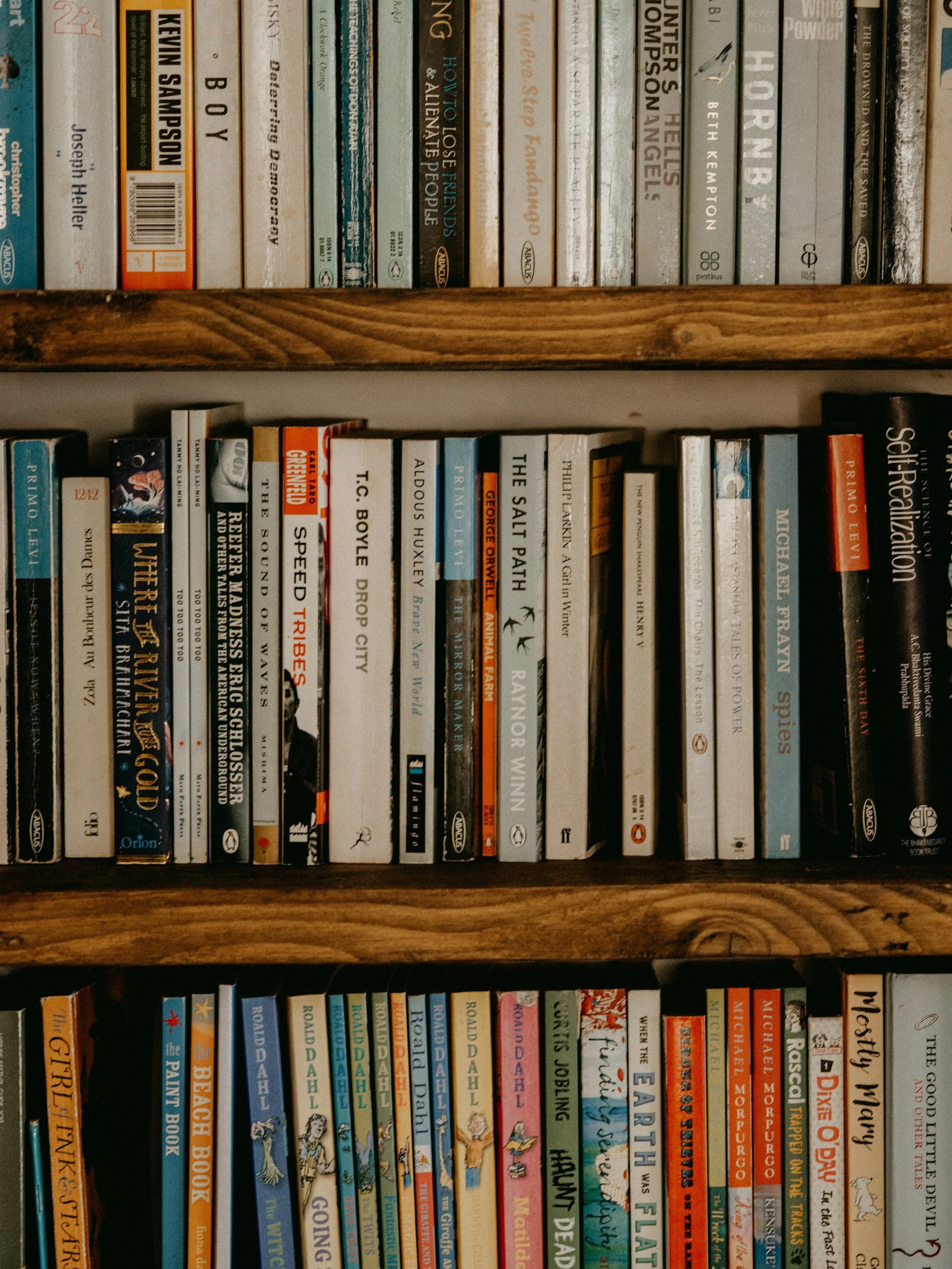 Two bookshelves filled with books, with the upper shelf showing a variety of books and the lower shelf predominantly featuring children's books, including titles like 'The Witches', 'The Giggling Ghost', and 'The Complete Adventures of Tintin'.