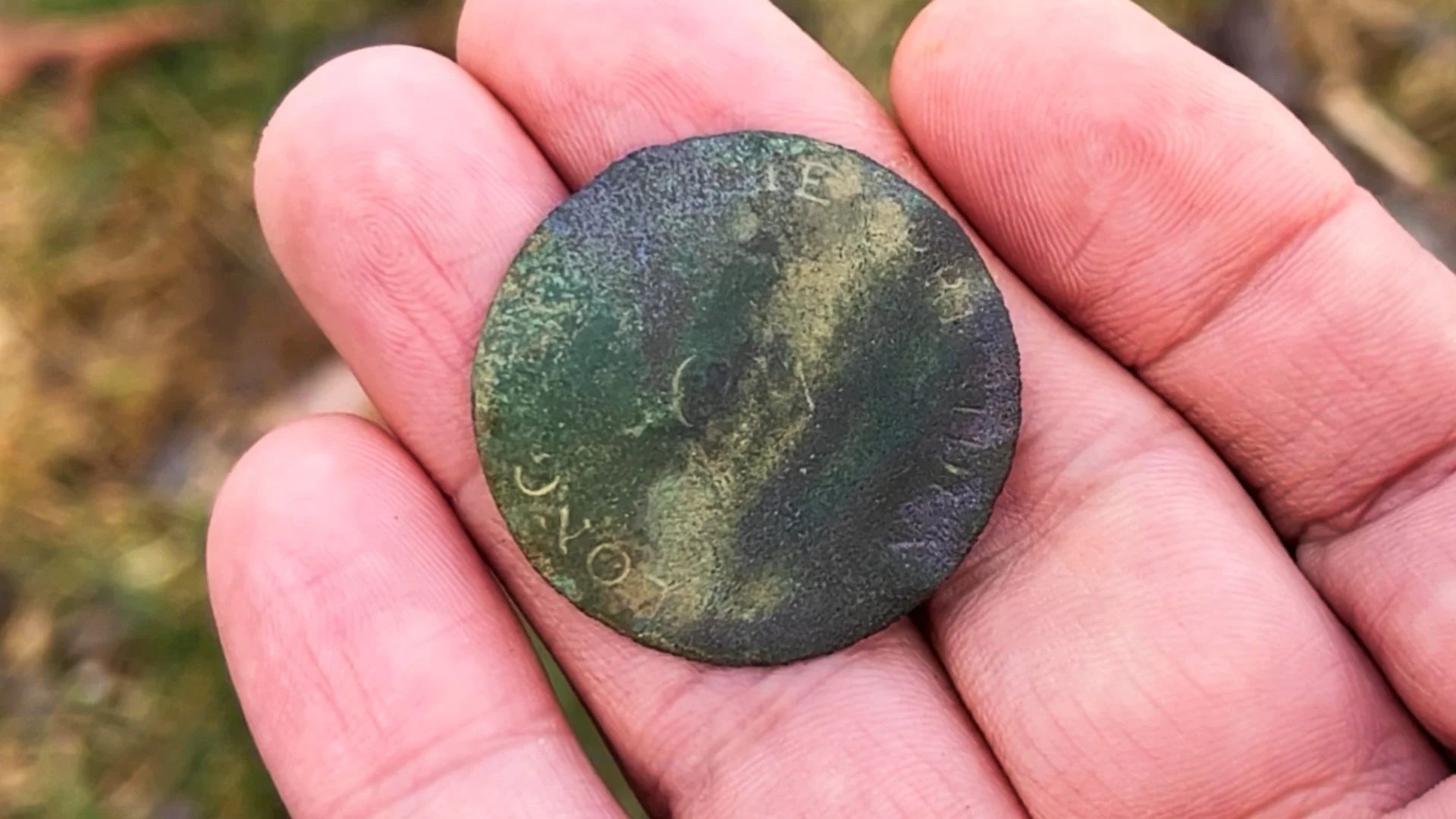 THE GEORGE WASHINGTON BUTTOn
