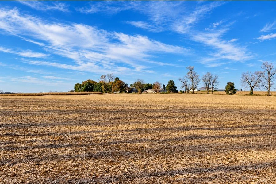 Metal detecting a colonial farm field on Quarter Hoarder