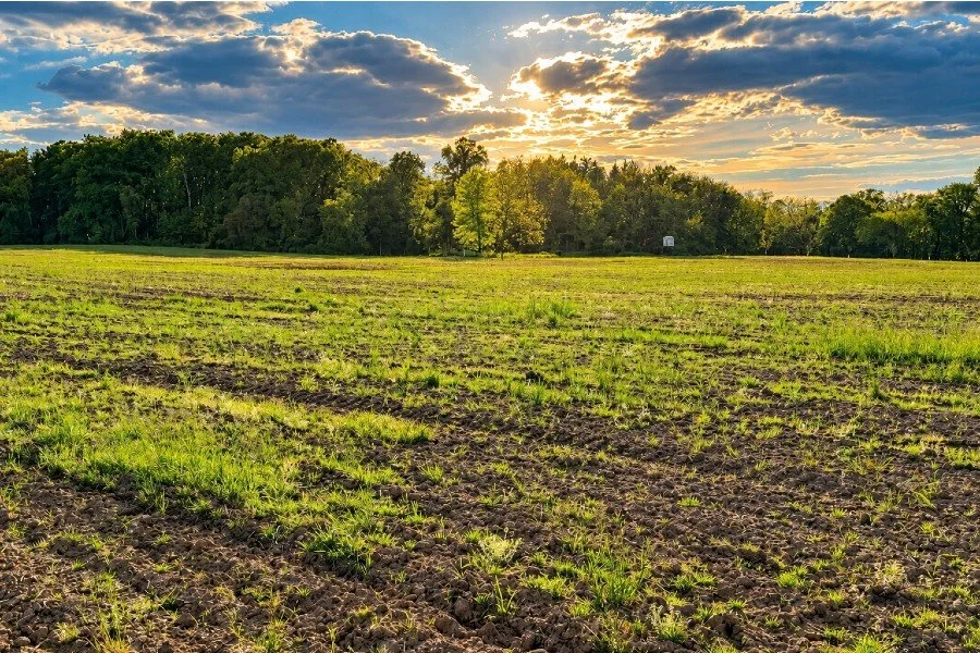 Metal detecting a colonial farm field on Quarter Hoarder