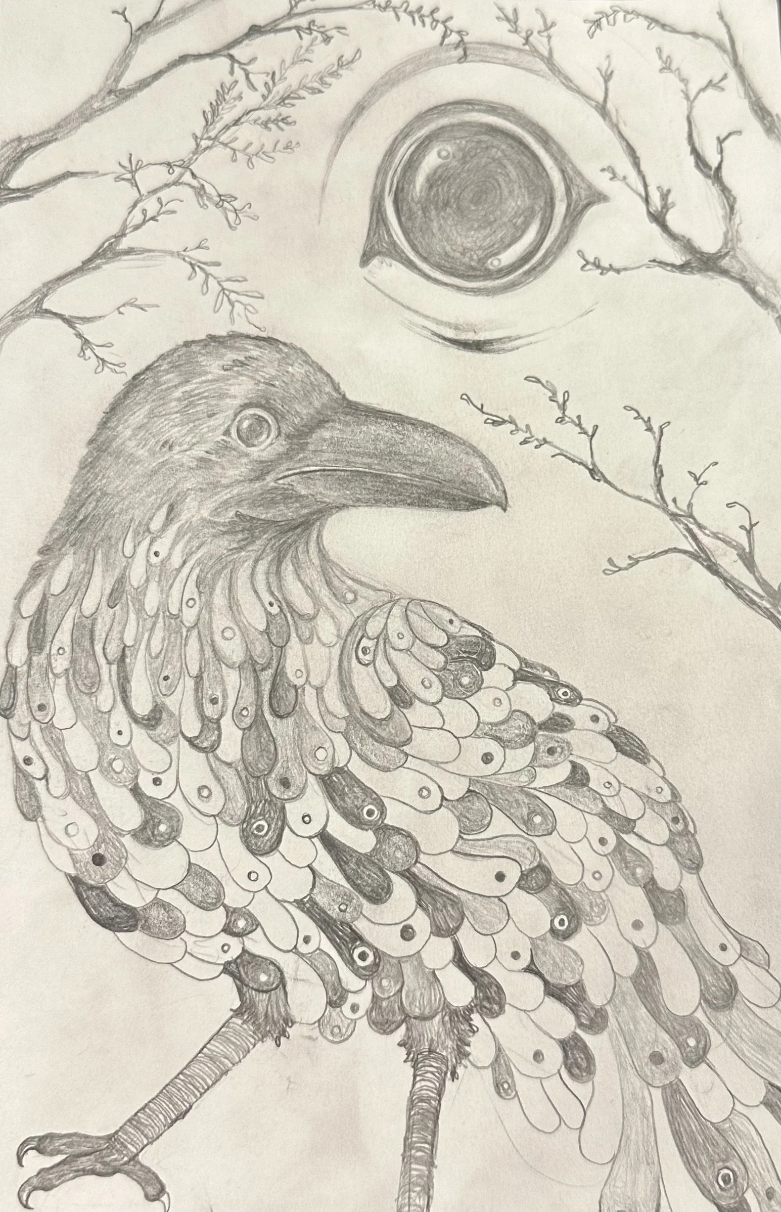 A detailed pencil sketch of a bird with a large, curved beak, perched on a branch, with its eye prominently visible. There are additional branches with small leaves or buds, and the bird's feathers are intricately detailed with numerous eye-like patterns.