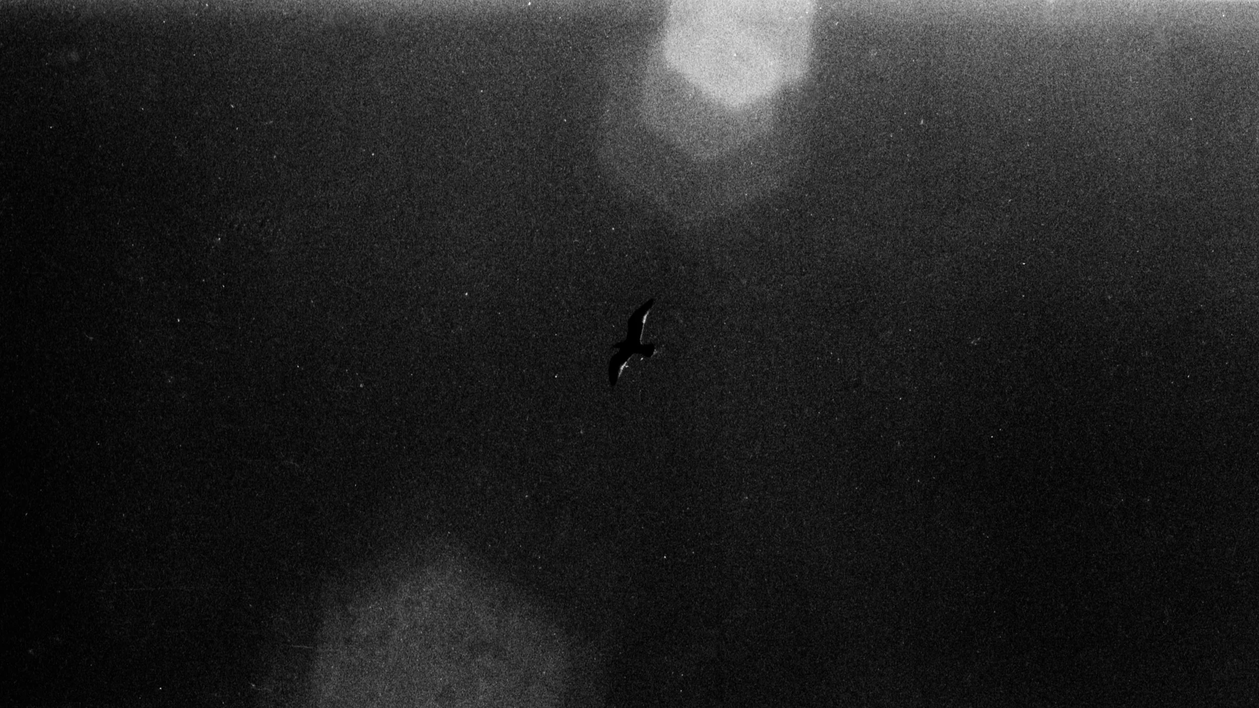 finalprint2.jpg