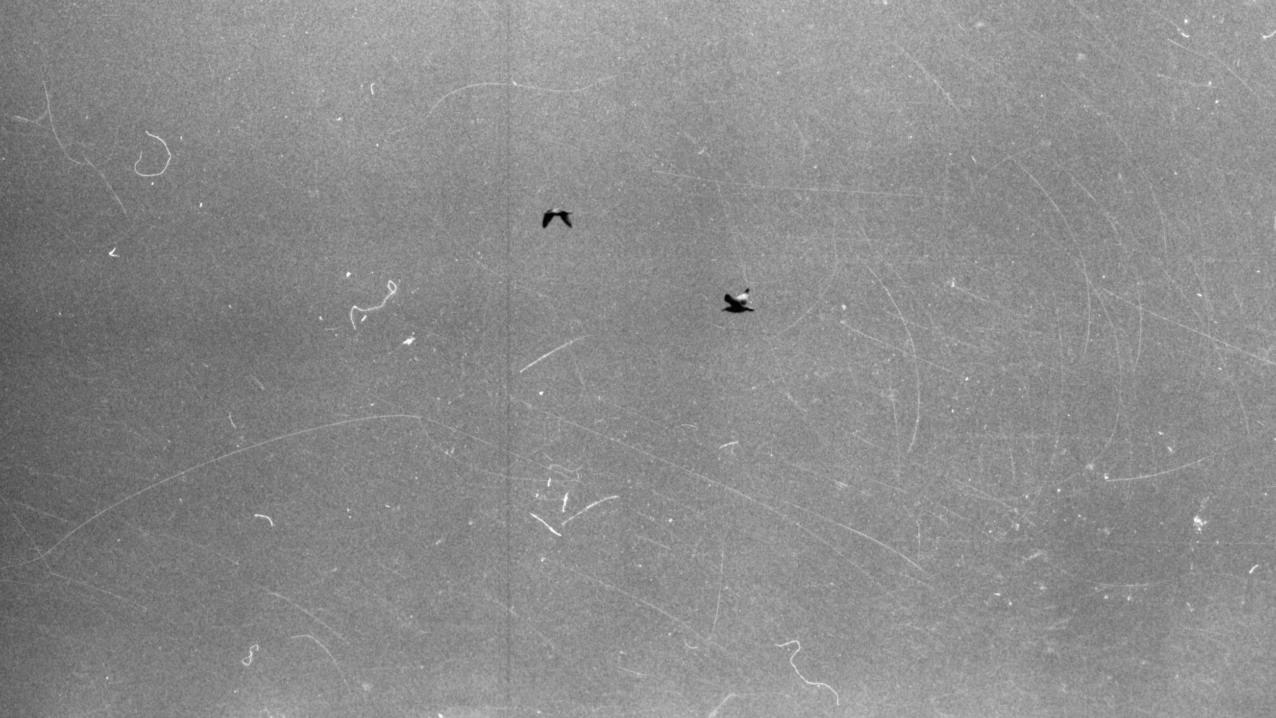 fianlprint3.jpg
