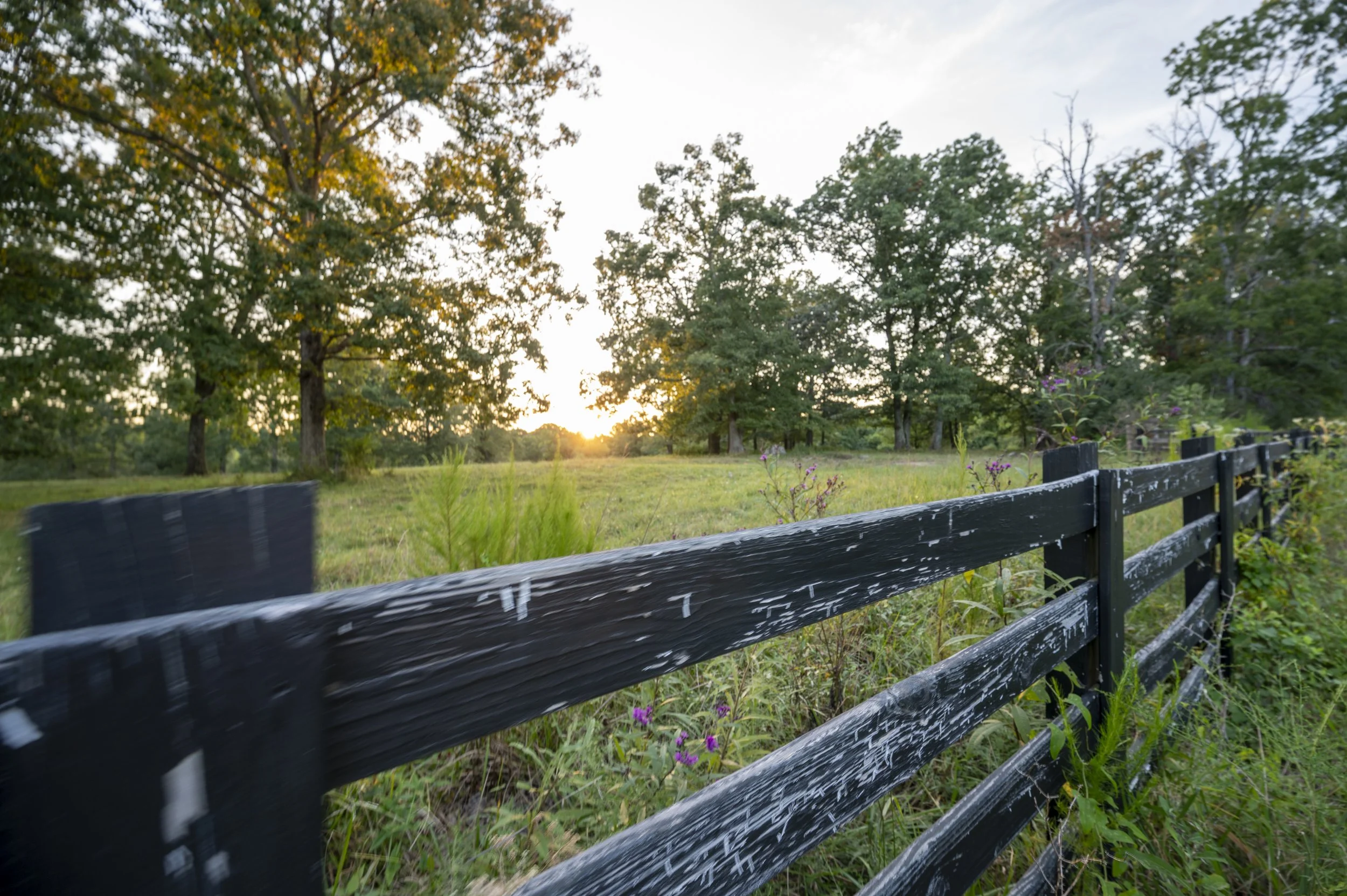 Sunset over a green field with trees and a black wooden fence in the foreground. 4000 Jumpoff Rd Sewanee, TN for sale