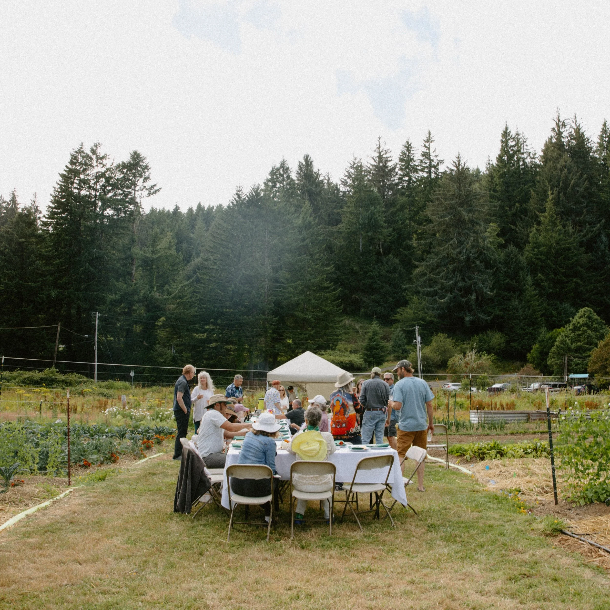 A very special 70th birthday party on the farm for our friend 🌼

Doris gave us free range with our menus, wanting us to get creative using only what we grow, and of course her favorite bread from @panini_bakery 

This night was a special one, and ex