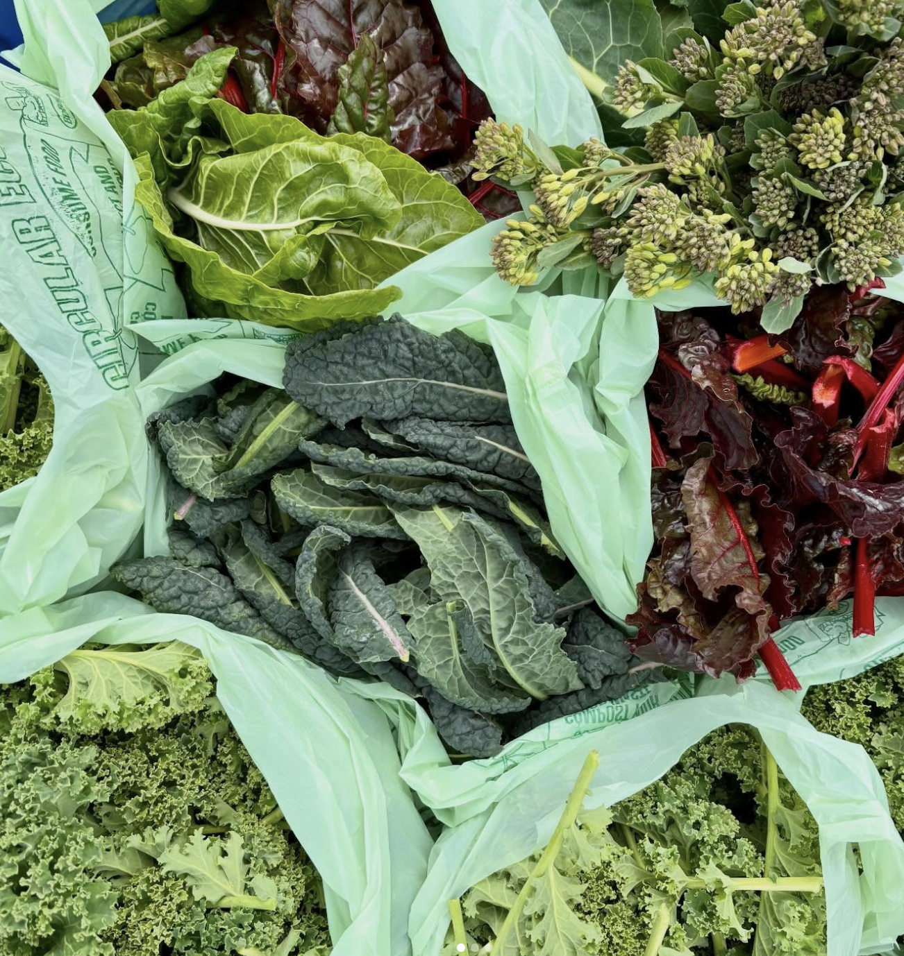 Various leafy greens including kale, Swiss chard, and other salad greens arranged in plastic bags at a market or grocery store.