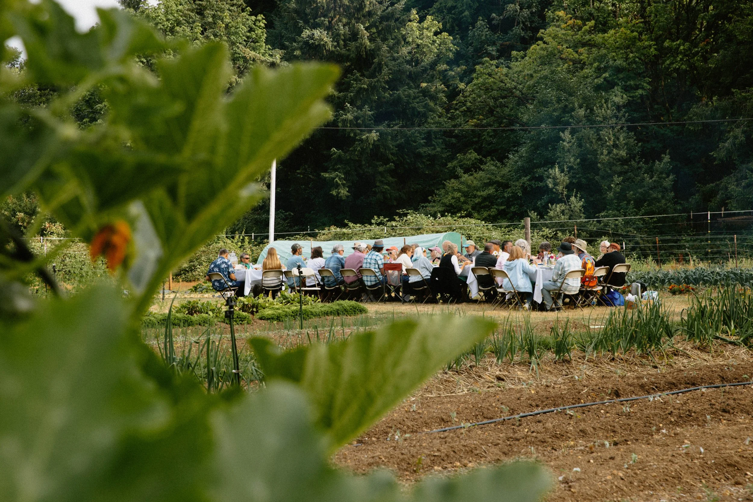 People gathered around tables outdoors in a lush, green garden with tall trees and a hedge in the background.
