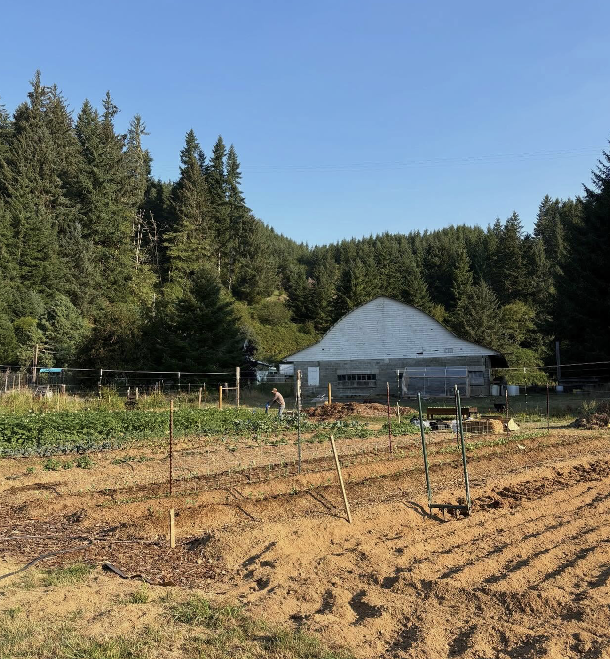 A farm with cultivated fields, a person working in the field, a white barn, and a backdrop of dense green trees under a clear blue sky.