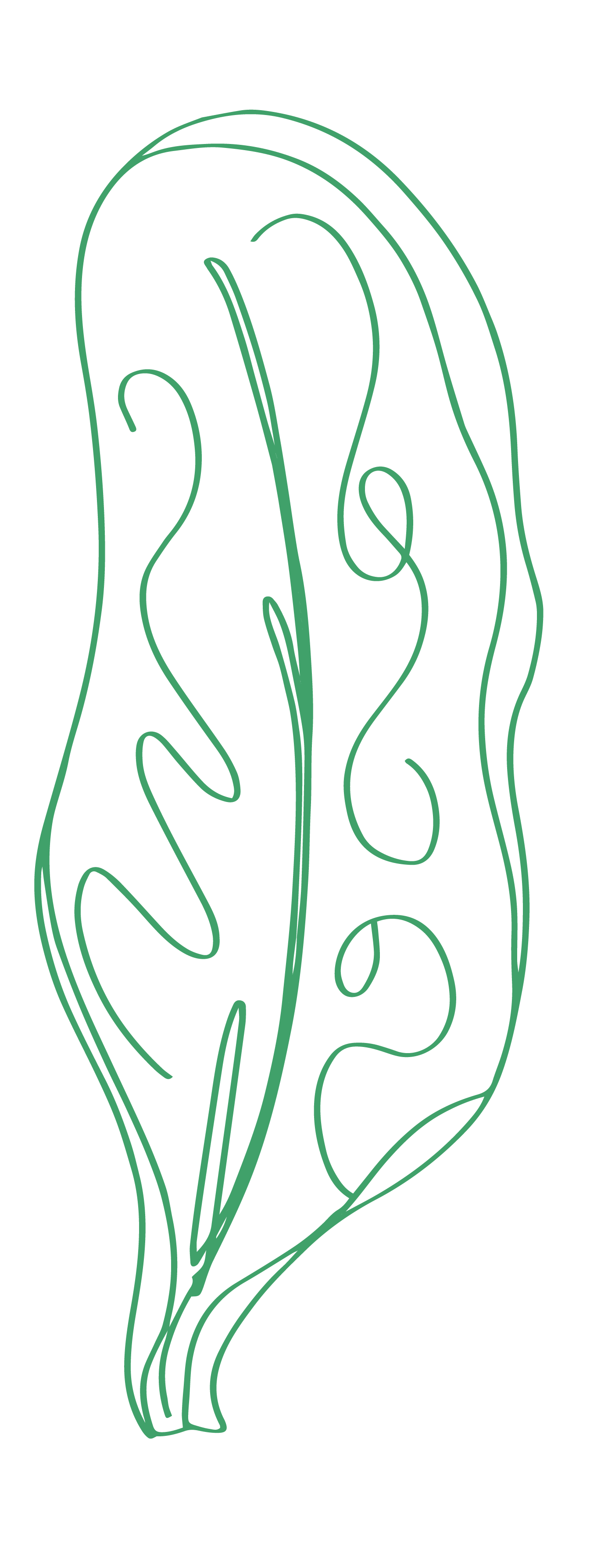 Neon green line drawing of a leaf with intricate internal pattern on a black background.