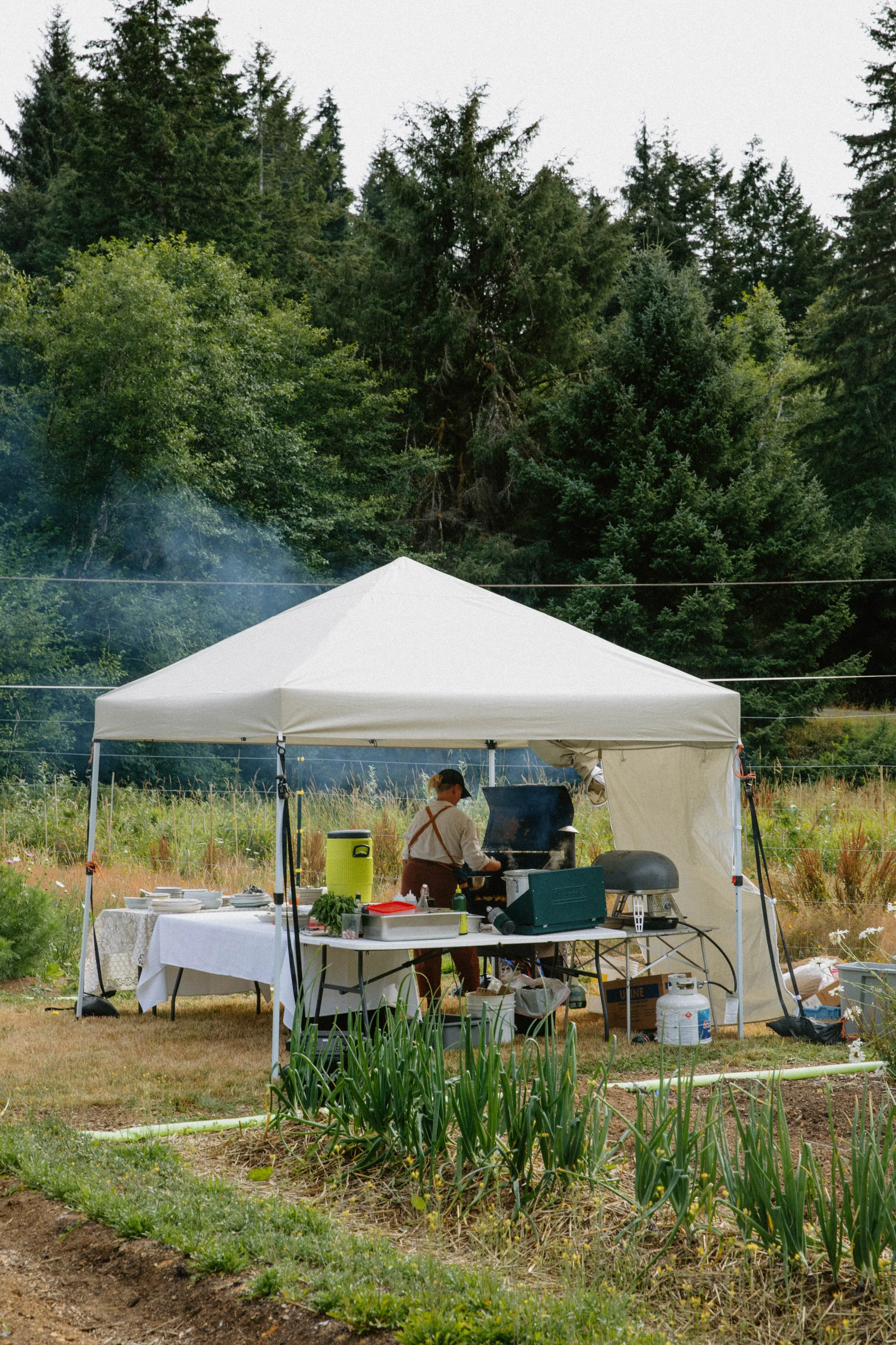 A person cooking behind a white tent in a garden with rows of green plants and tall trees in the background.