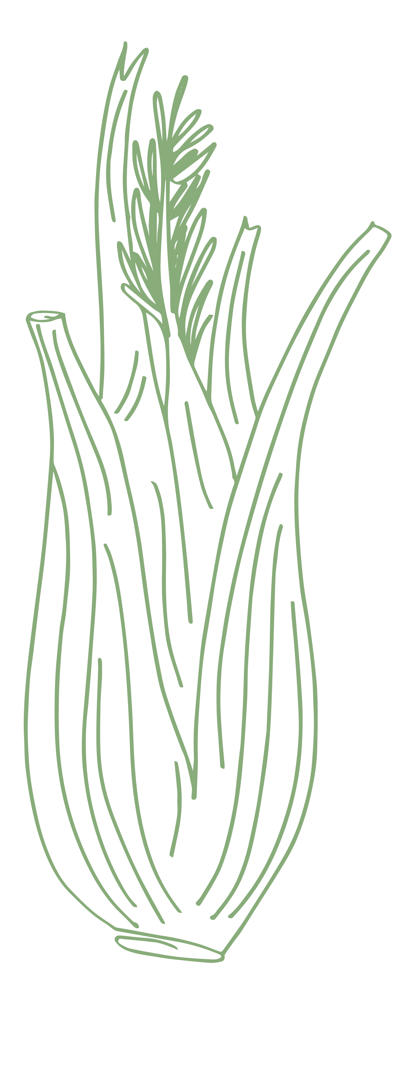 Line drawing of a bunch of fresh green onions in a vase with a black background.